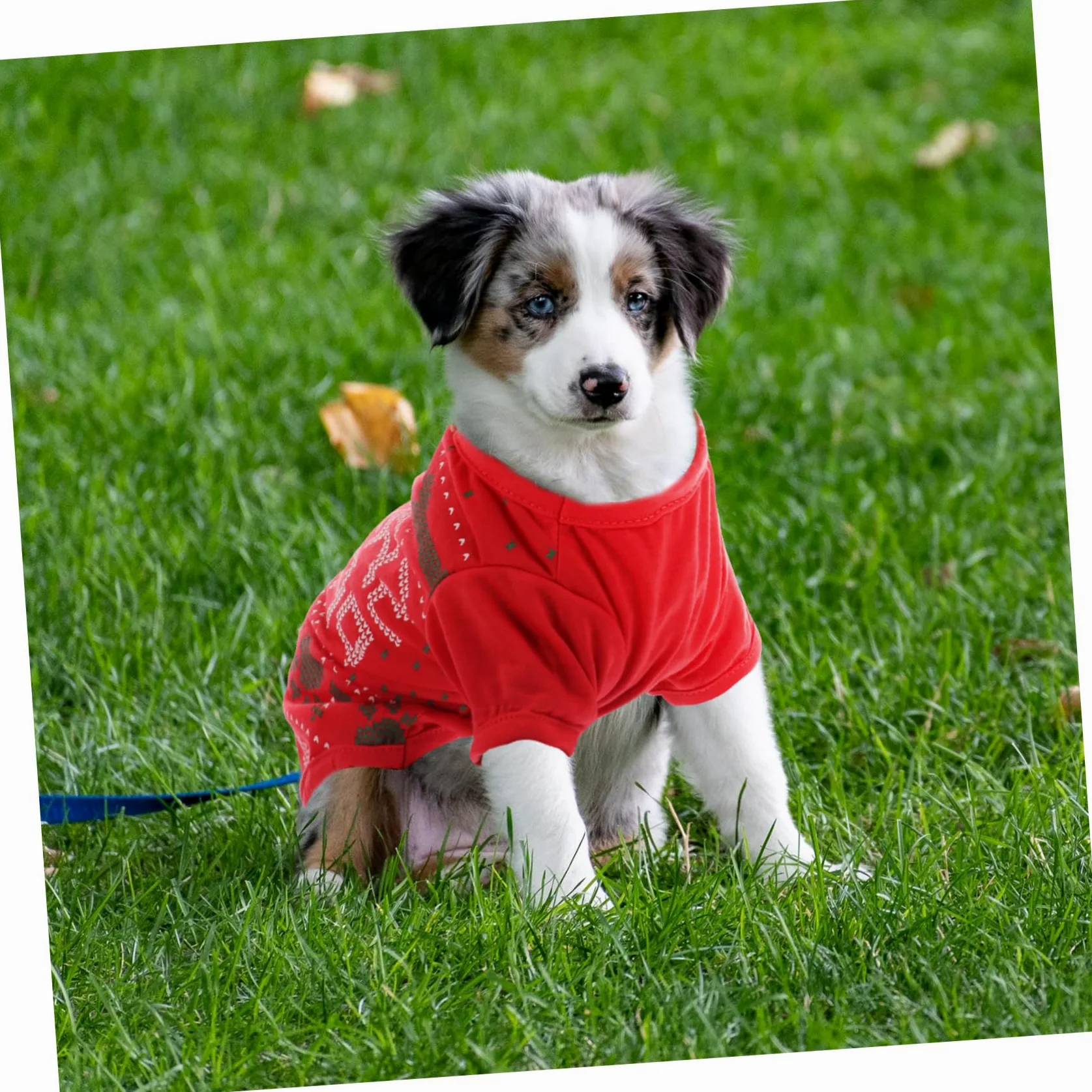 HMJGDHX 2 Pezzi di Vestiti per Cani con Motivo Natalizio T-Shirt per Animali Domestici Adorabile per Occasioni di Festa