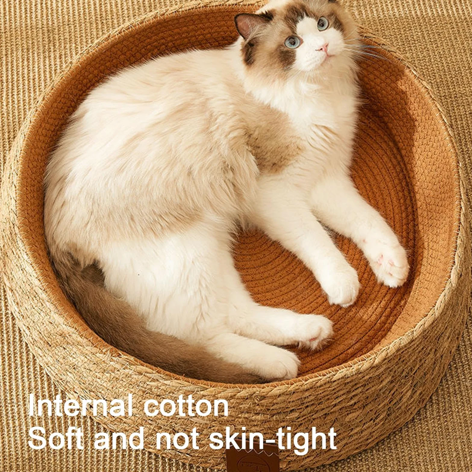 Cuccia per gatti – cuccia portatile per animali domestici | mobilia multifunzionale per gatti, in resistente, accogliente per , cuscino reversibile in peluche accogl