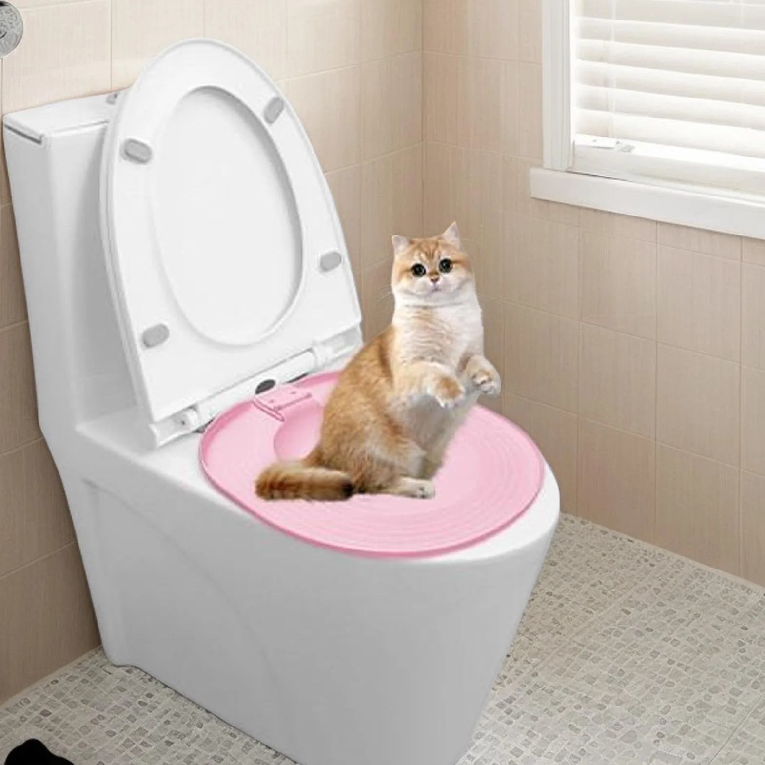 Allenatore del gatto da gabinetto Allenatore del gabinetto, bidet | dei gatti: con il design innovativo e igienico e adatto ai gatti del nostro set di di gatti da toilette, c