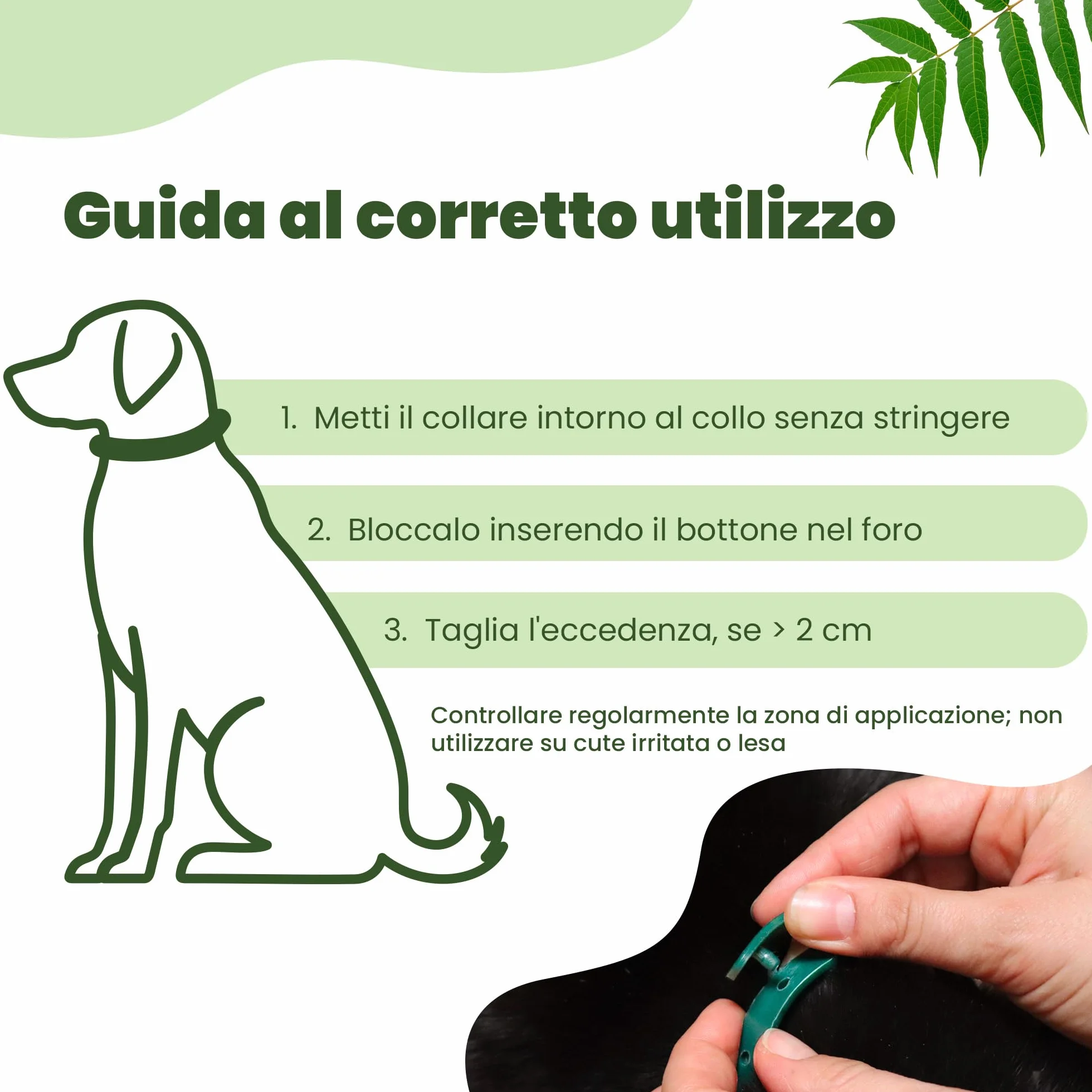 CAMON | Collare Olio di Neem per Cani di Taglia Piccola, 35cm, Protezione Naturale