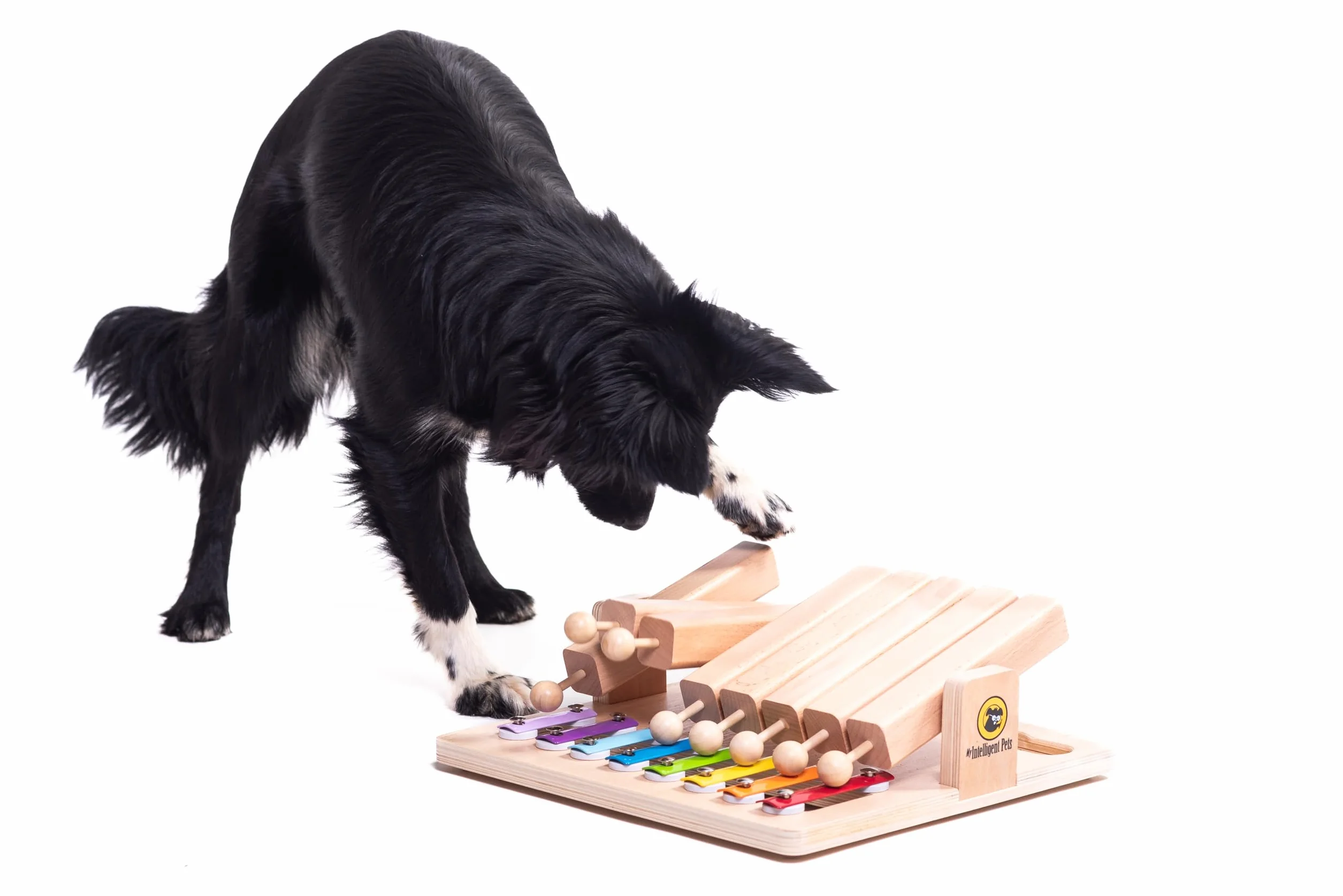 Piano Interattivo Cane Giocattolo Interattivo per Cani in Legno Giocattolo Intelligente per Cani e Gatti