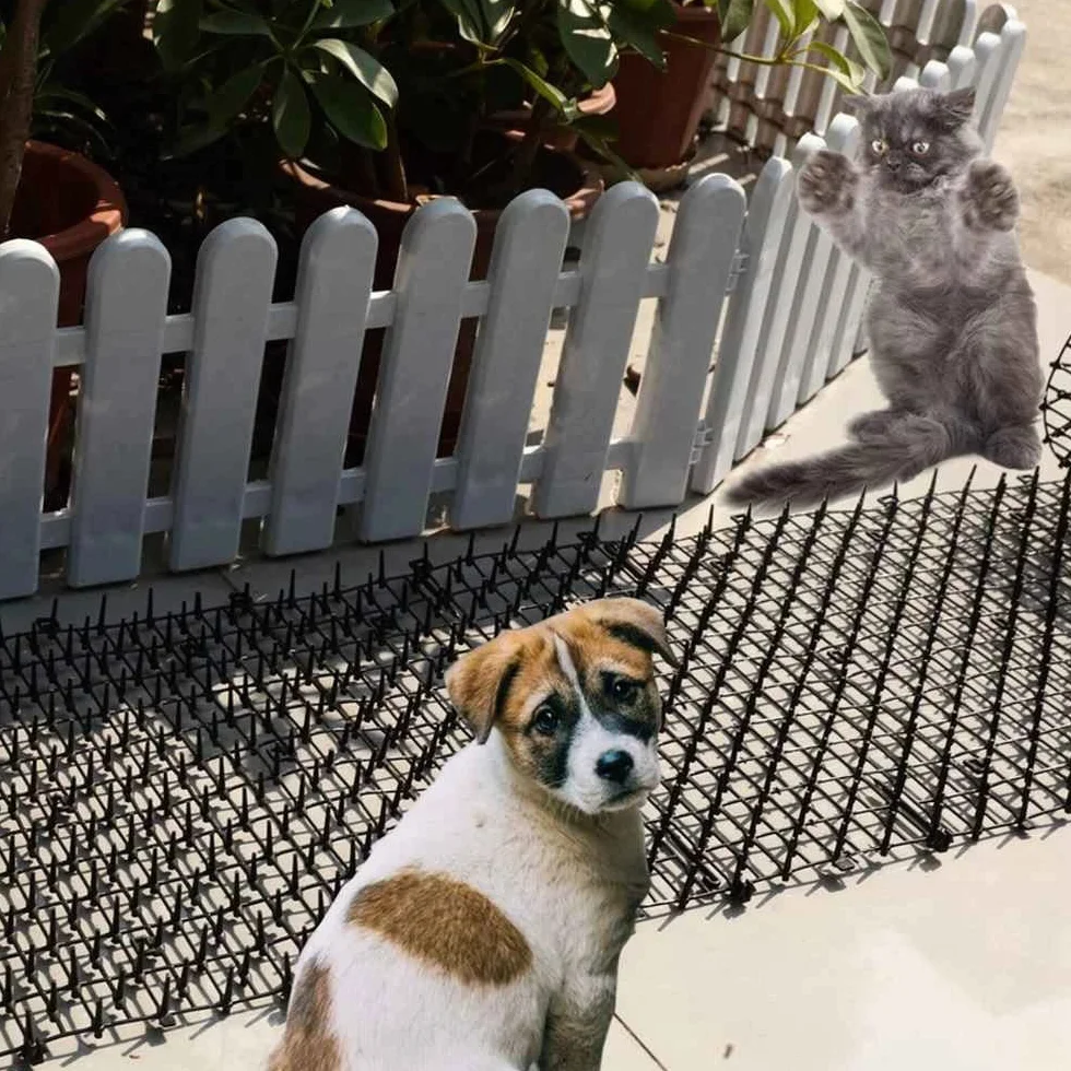 Tappetino Anti Gatto,Tappetino Repellente per Gatti, Dissuasore Gatti con Punte,con 8 pioli,Plastica Rete Spinata per Animali Selvaggio Protezione delle Piante da Giardino all'aperto 200 * 30 cm