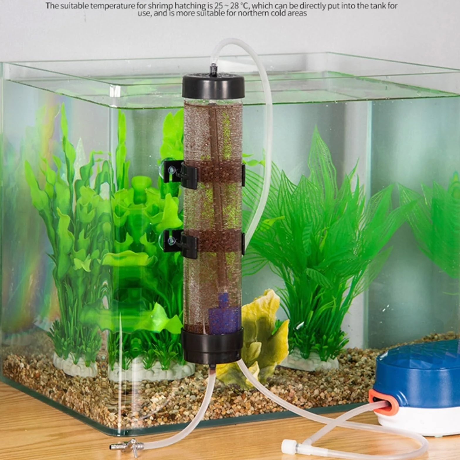Incubatrice Per Uova Di Gamberetti In Salamoia - Kit Per Incubazione Di Uova Di Artemia Per Acquario, Incubatrice Per Allevamento Di Gambereti Per Acquari | Incubatriice Per Gamberetti Con