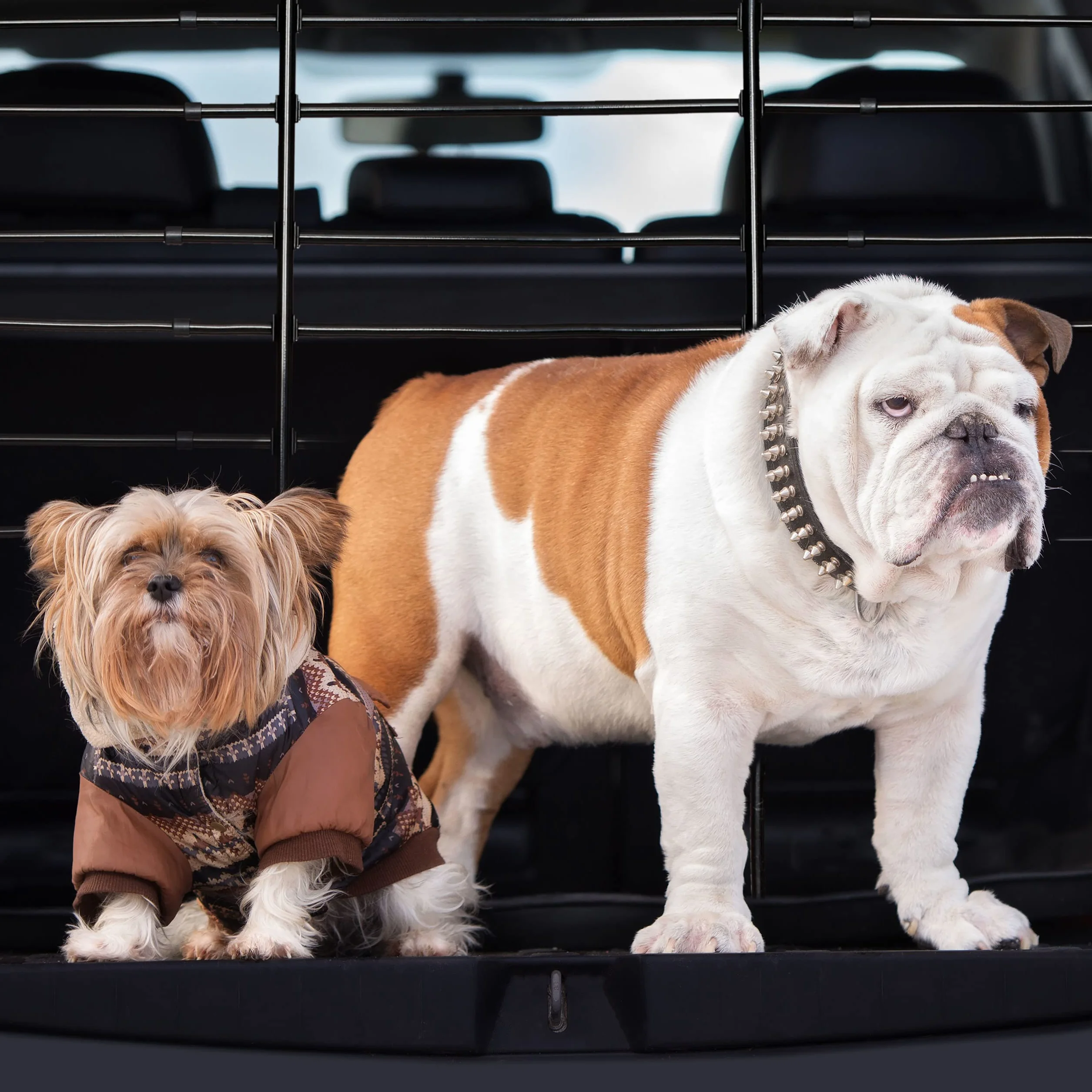 Relaxdays Divisorio Auto per Cani, Griglia Protettiva, da Agganciare, Universale, Altezza & Larghezza Regolabili, Nero