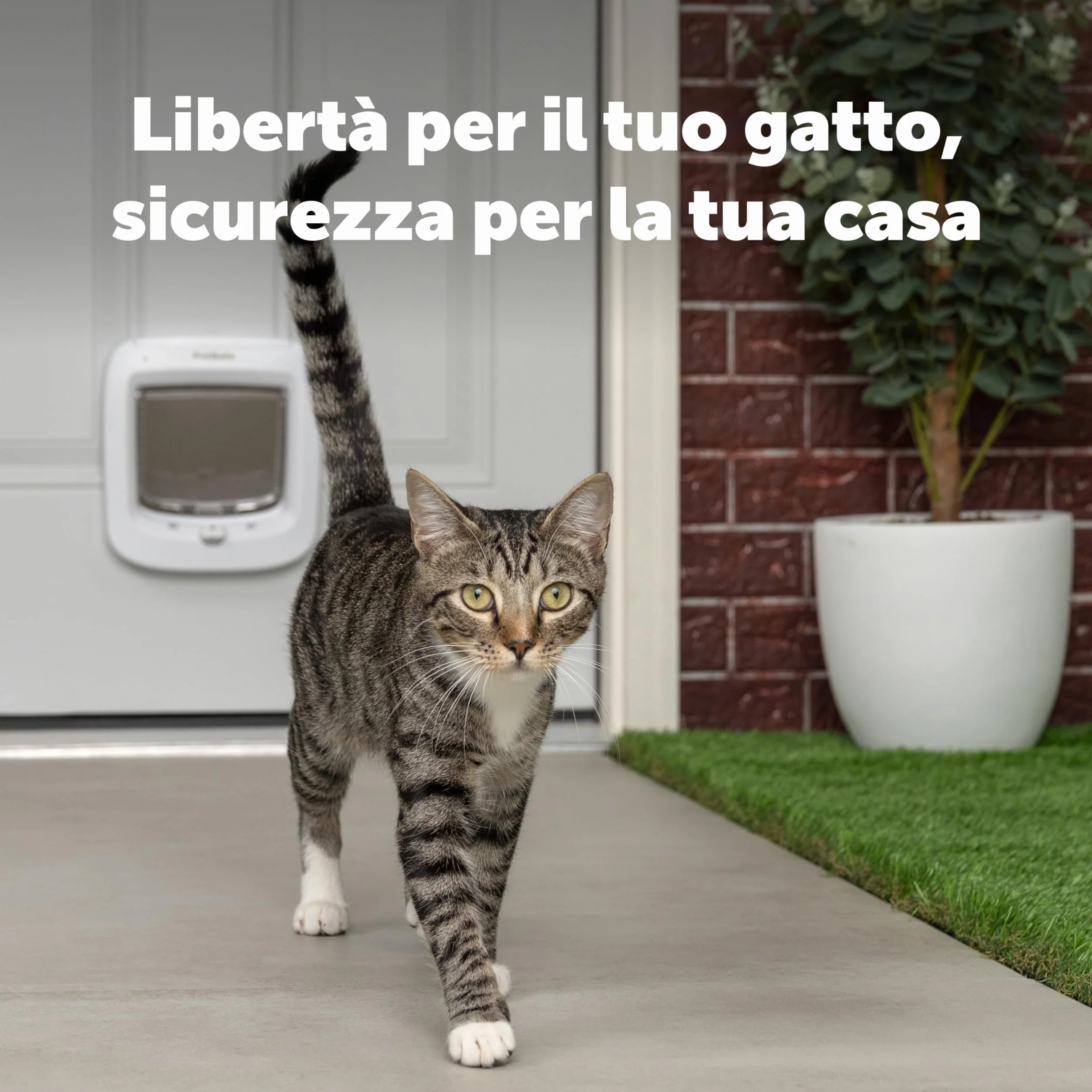 PetSafe Porta per Gatti Microchip - Gattaiola Esterna o Interna - Accesso RFID Multi-Utente per Fino a 40 Animali - Blocco a 4 Vie, Resistente alle Intemperie, Installazione Fai-da-te Facile - Bianca