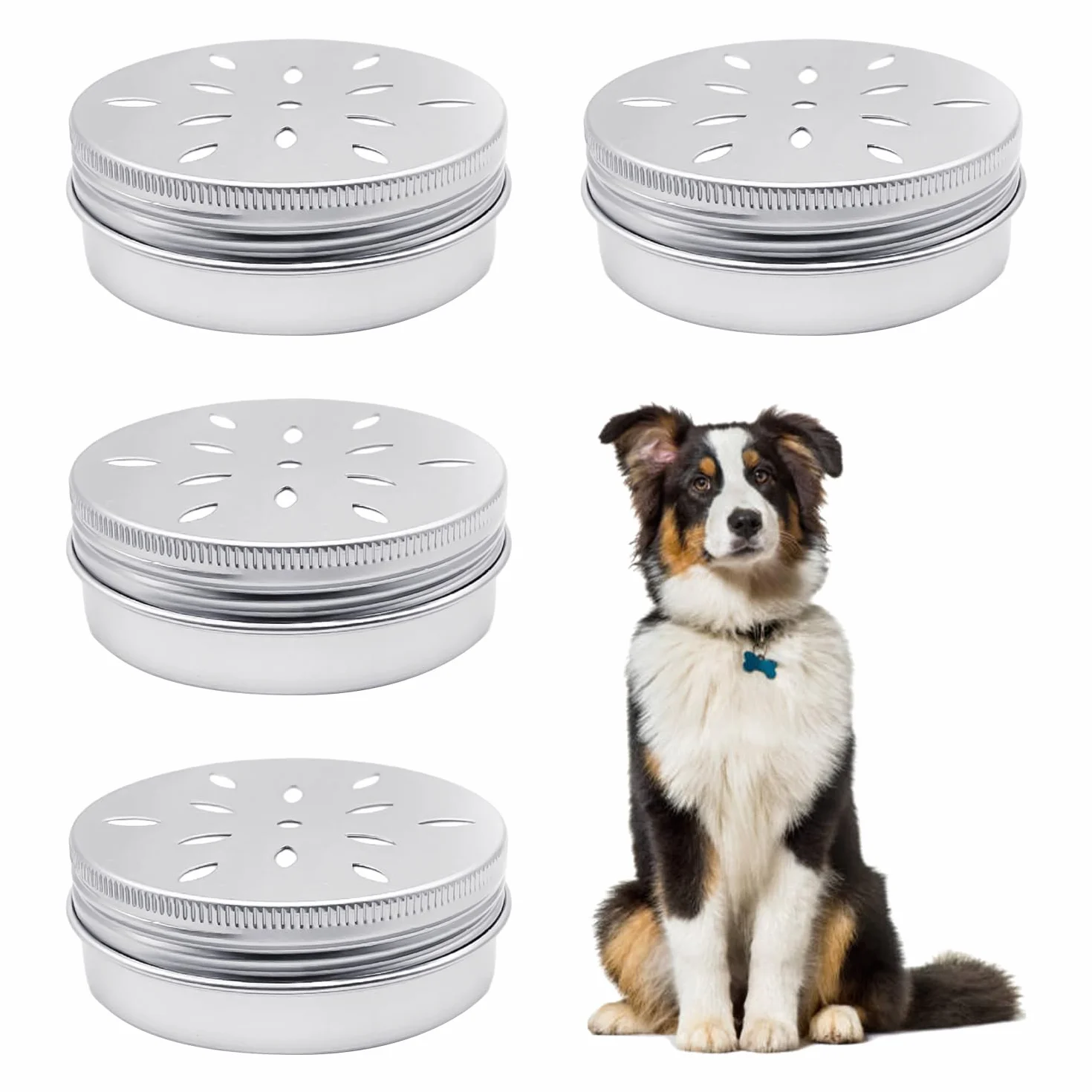4 scatole profumate per cani, scatole di allenamento per il mondo del mondo, profumate in alluminio, strumenti per l'addestramento del mondo