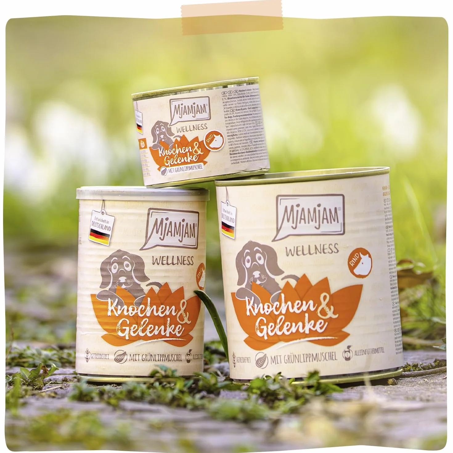 MjAMjAM - Cibo umido premium per cani - Benessere - Ossa e articolazioni - Beef, confezione da 6 (6x200g), senza cereali