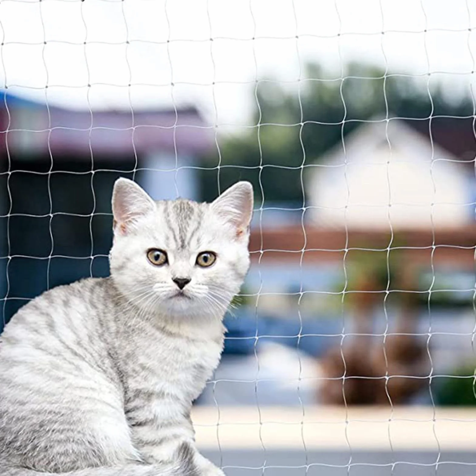 Rete Gatti, 4x3m Rete per Balcone Esterno, Rete Anti piccioni, con Rete Rinforzata - Installazione Senza Foratura, Resistente a Strappi/Morsi/Raggi UV - per Balconi Esterni, Scale, Finestre (6 x 3 m)