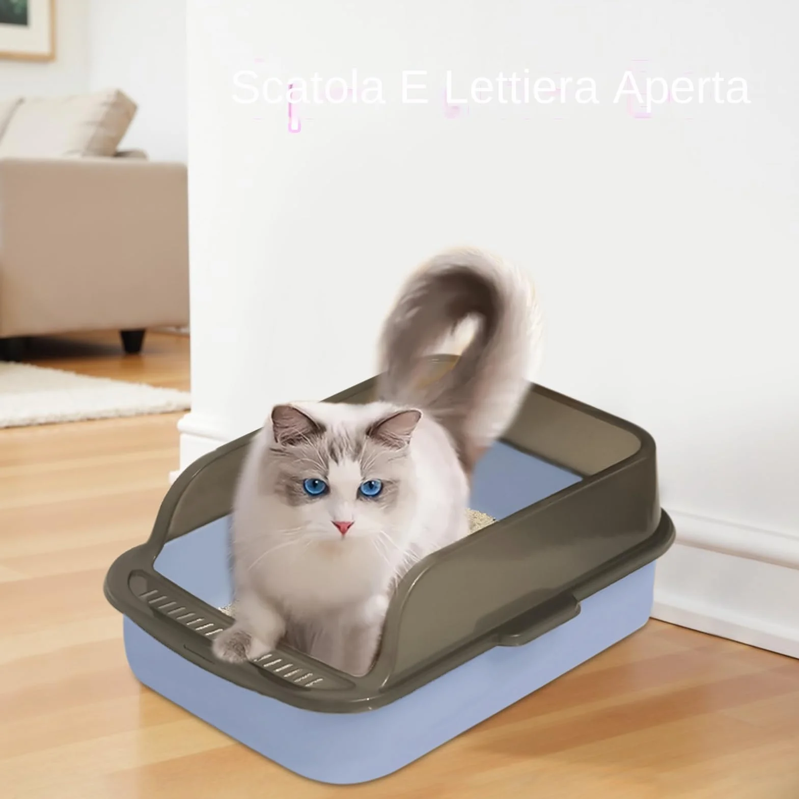 Lettiera Per Gatto Aperta Grande - Toilette Igienica Per Gattini Facile Da Pulire, Lettiera Con Bordo Rialzato, Cassettina Anti-Schizzo | Lettiera Con Facciata Alta Per Gatti Domestici, Box Gatto Cont