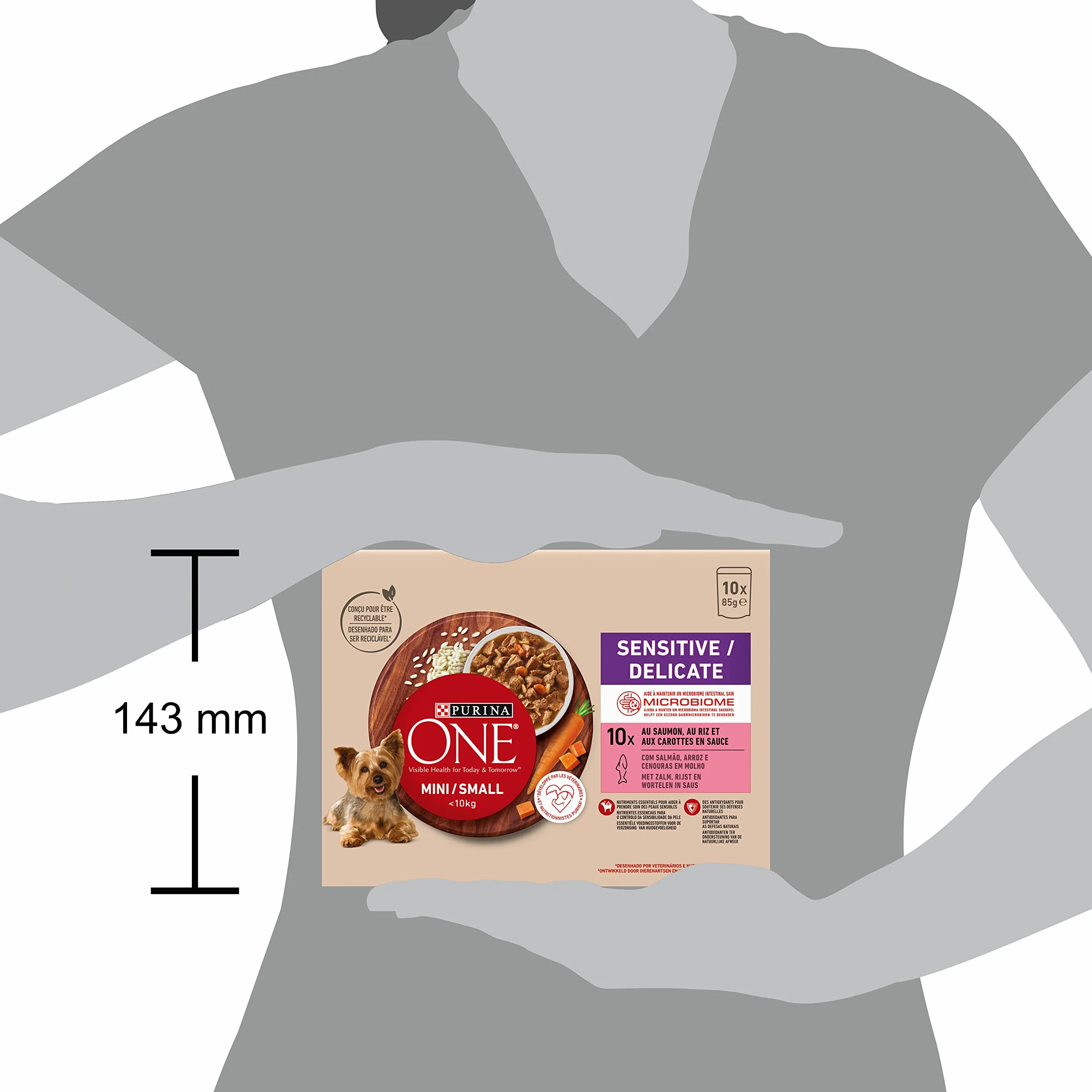 PURINA ONE Mini/S <10kg sensitiva/delicata, sbucciati con salmone, riso e carote in salsa per cani adulti di piccola taglia | digestione sensibile bustine pasto 10 x 85 g | Confezione da 6