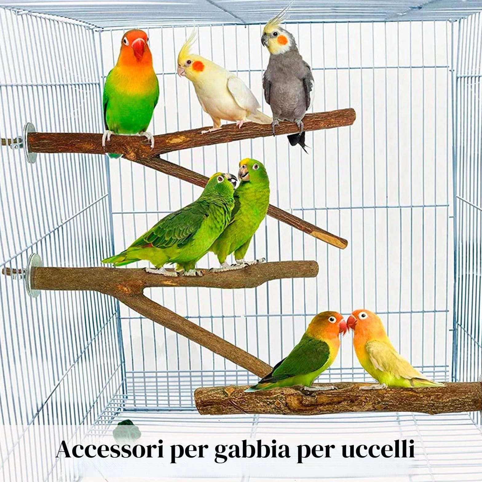 4 Pz Posatoi per Uccelli, Posatoi in Legno, Ramo D'uva Naturale Giocattolo per Pappagalli per Uccelli, Trespolo Posatoio Supporti per Uccelli in Legno Naturale per Piccolo Medi Pappagalli