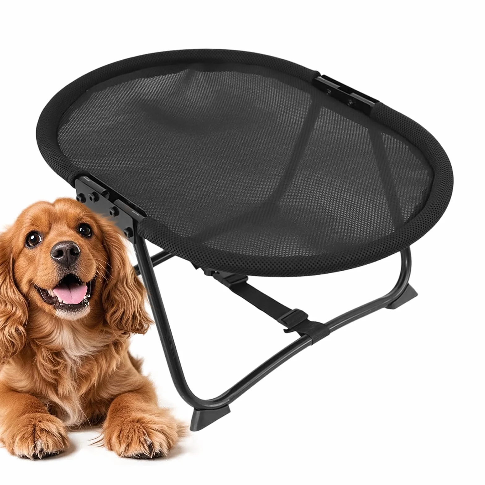 Cuccia Per Cani Da Esterno,Brandina Portatile Pieghievole Lavabile Antiscivolo,Pieghevole 57 x 41 x 26 cm Cuccia per Cani Sollevata - Animali Domestici Gatti Cuccioli Sonno Riposo Esterno