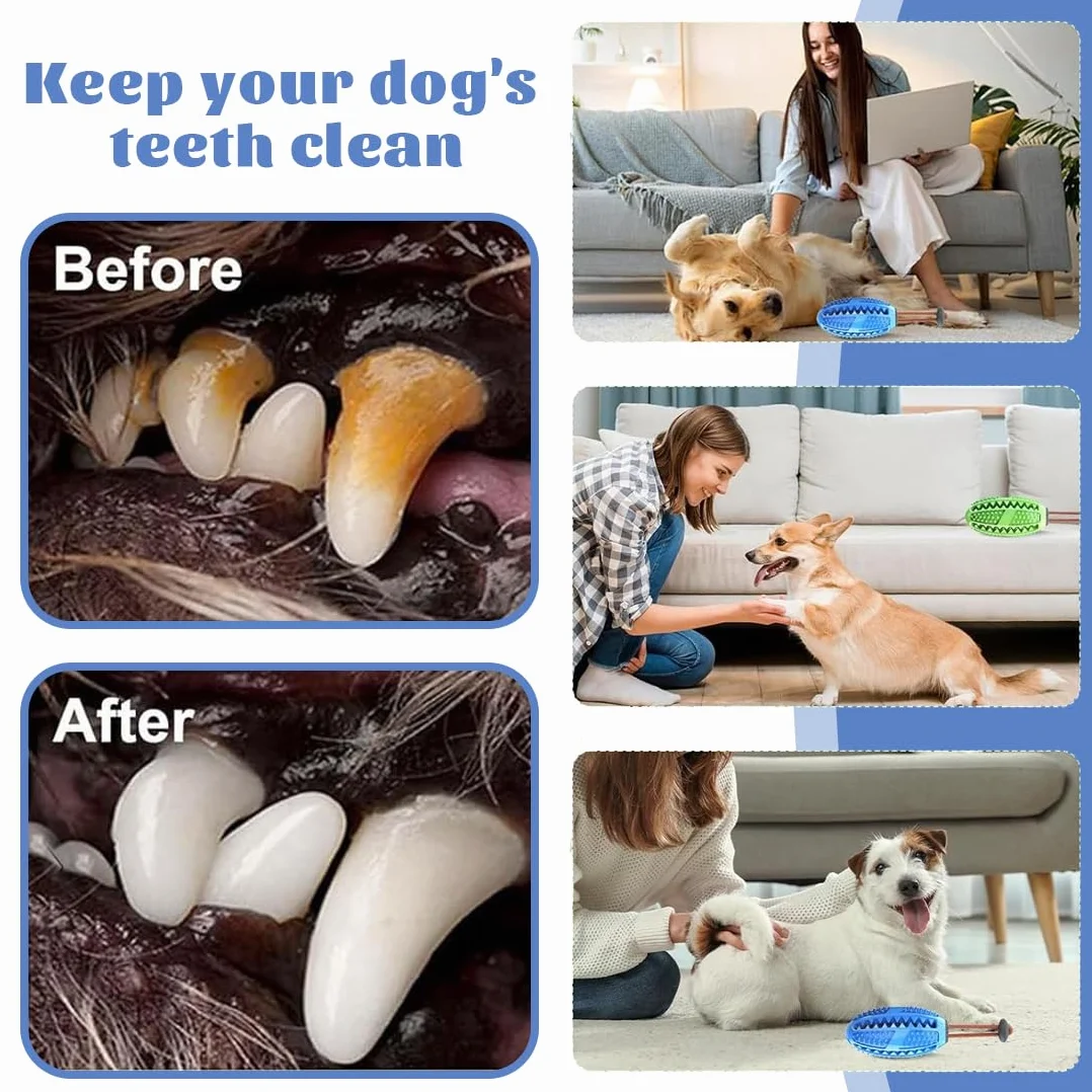 Gioco Cani, Gioco di intelligenza, Giocattoli da Masticare per Cani Giocattoli, Bastoncino per La Pulizia dei Denti in Gomma Resistente, Ideale per la pulizia dei denti e cani di tutte le taglie