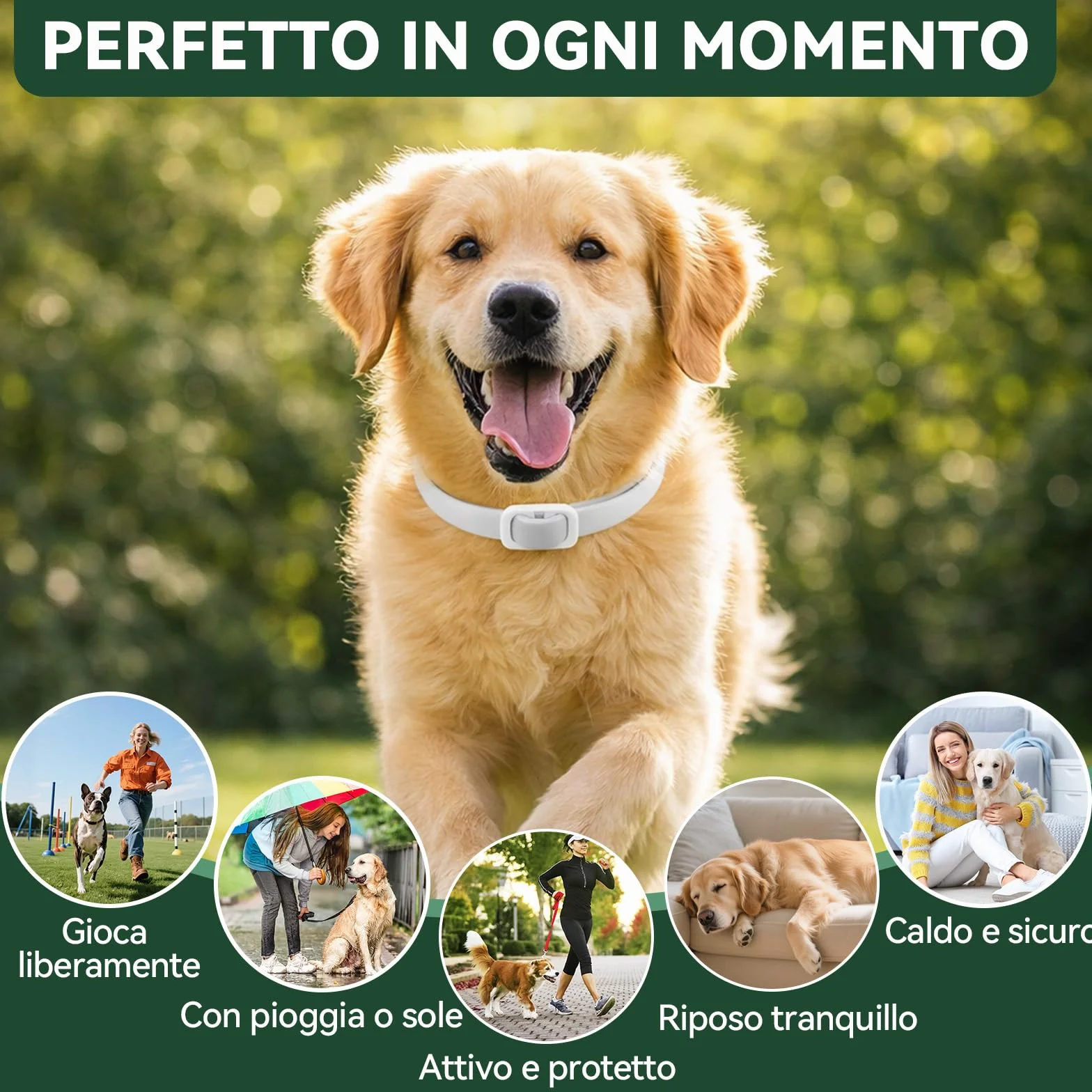 Collare Antiparassitario per Cani, Collare Antipulci Cane, Protezione Efficace, Naturale, Impermeabile, Regolabile, Collari Antiparassitari per Cani per Piccoli, Medi e Grandi a Tutte le Razze,65cm