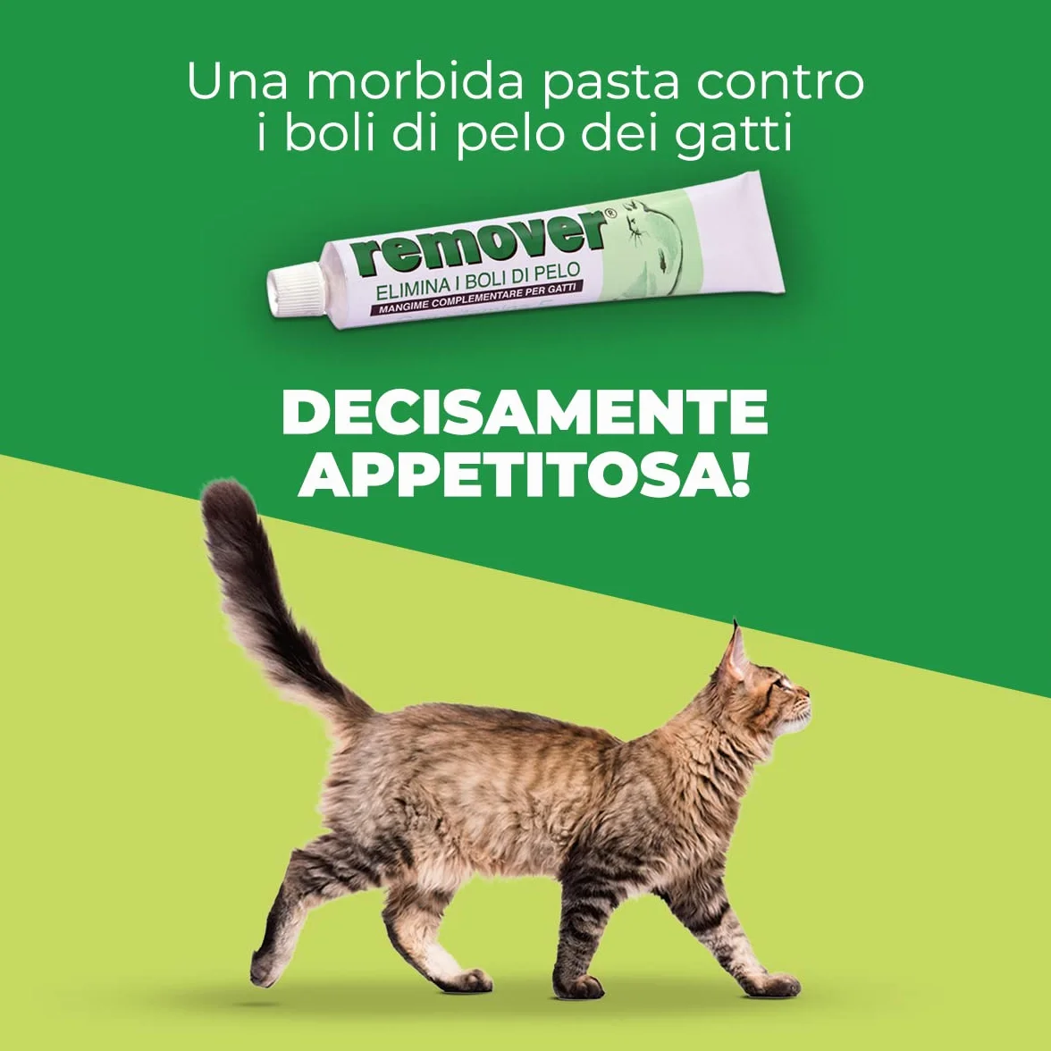 MSD Animal Health Remover, 20 g - 1 Prodotto