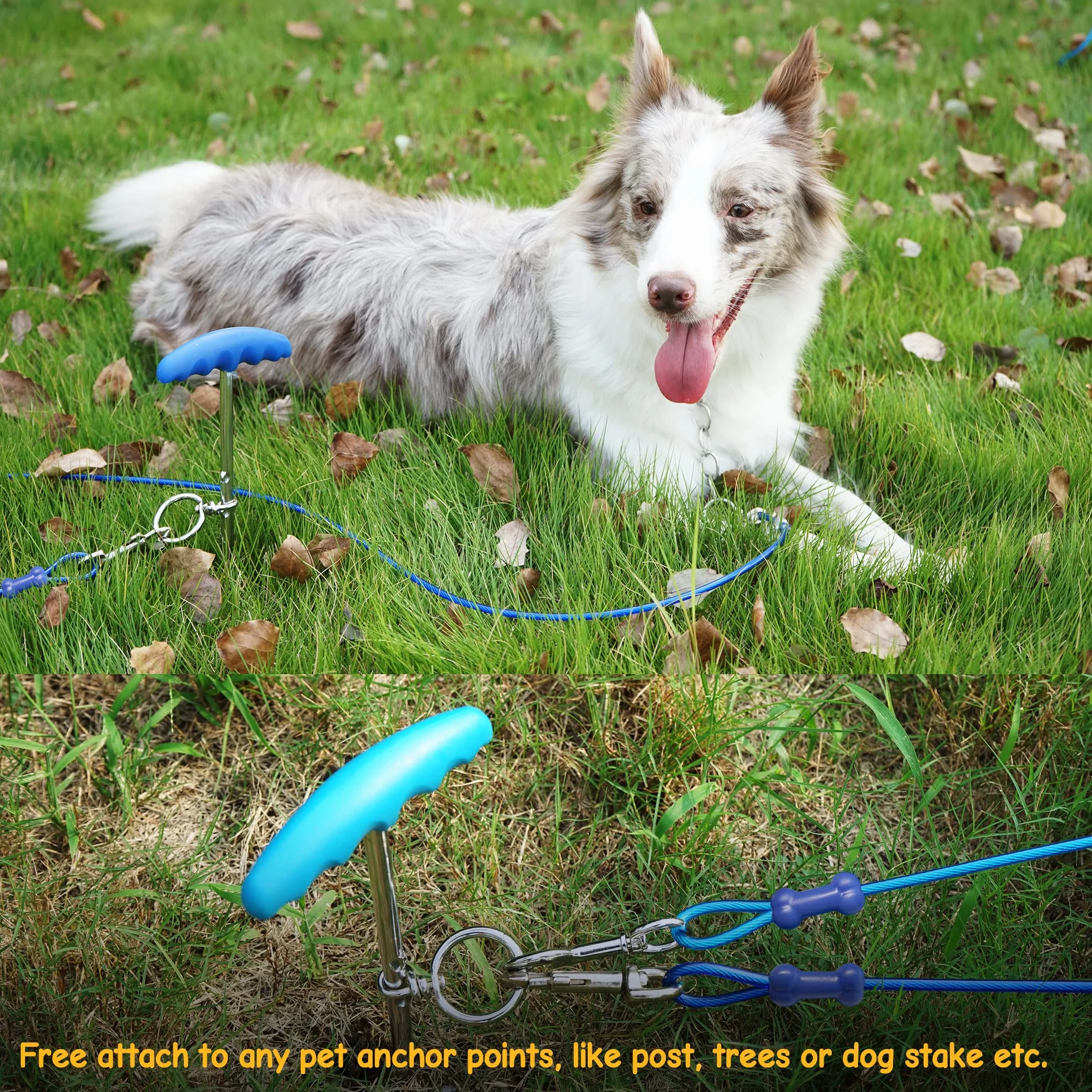 Petphabt - Cavo resistente per cani da 6 m, con spirale per cani da 16 cm, con picchetto a terra per cuccioli e animali domestici, guinzaglio per esterni (verde acqua)