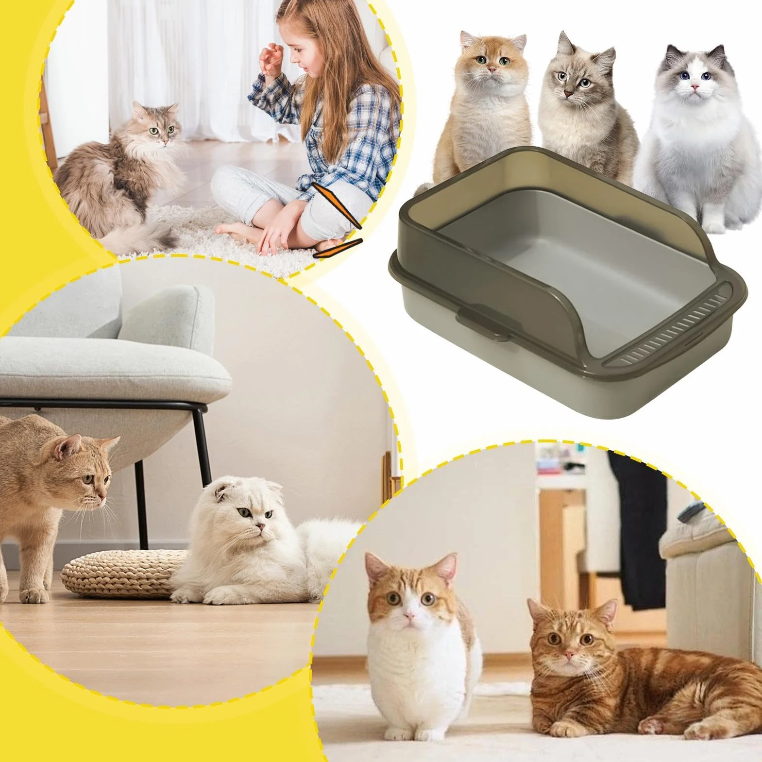 Lettiera Con Parte Superiore Aperta - Bordi Alti a Prova di Perdite Per Gatti | Toilette Per Gattini Facile da Pulire Con Parte Superiore Aperta