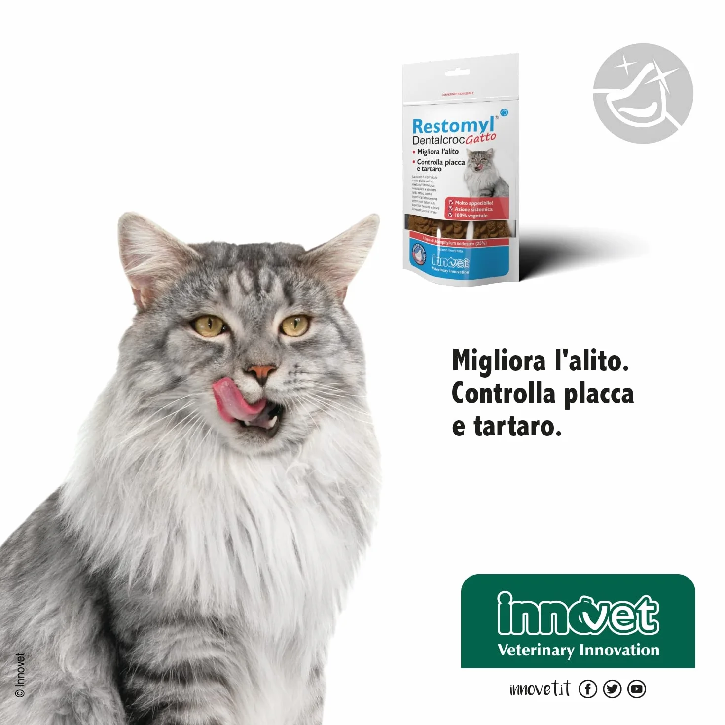 Innovet Restomyl Dentalcroc, Supporto nutrizionale, Migliora l'alito. Controlla e previene la Placca e Il Tartaro dei Gatti - Confezione con Busta da 60 g