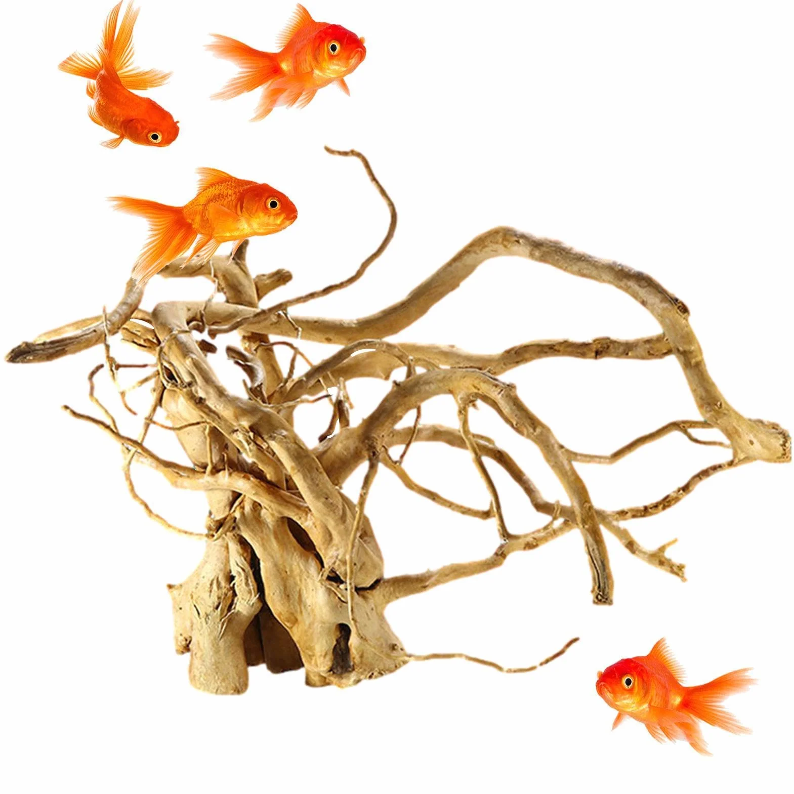 Radice di albero per l'acquario, radice 'albero di , per acquari, decorazione naturale, di legno rettile, decorazione terrario
