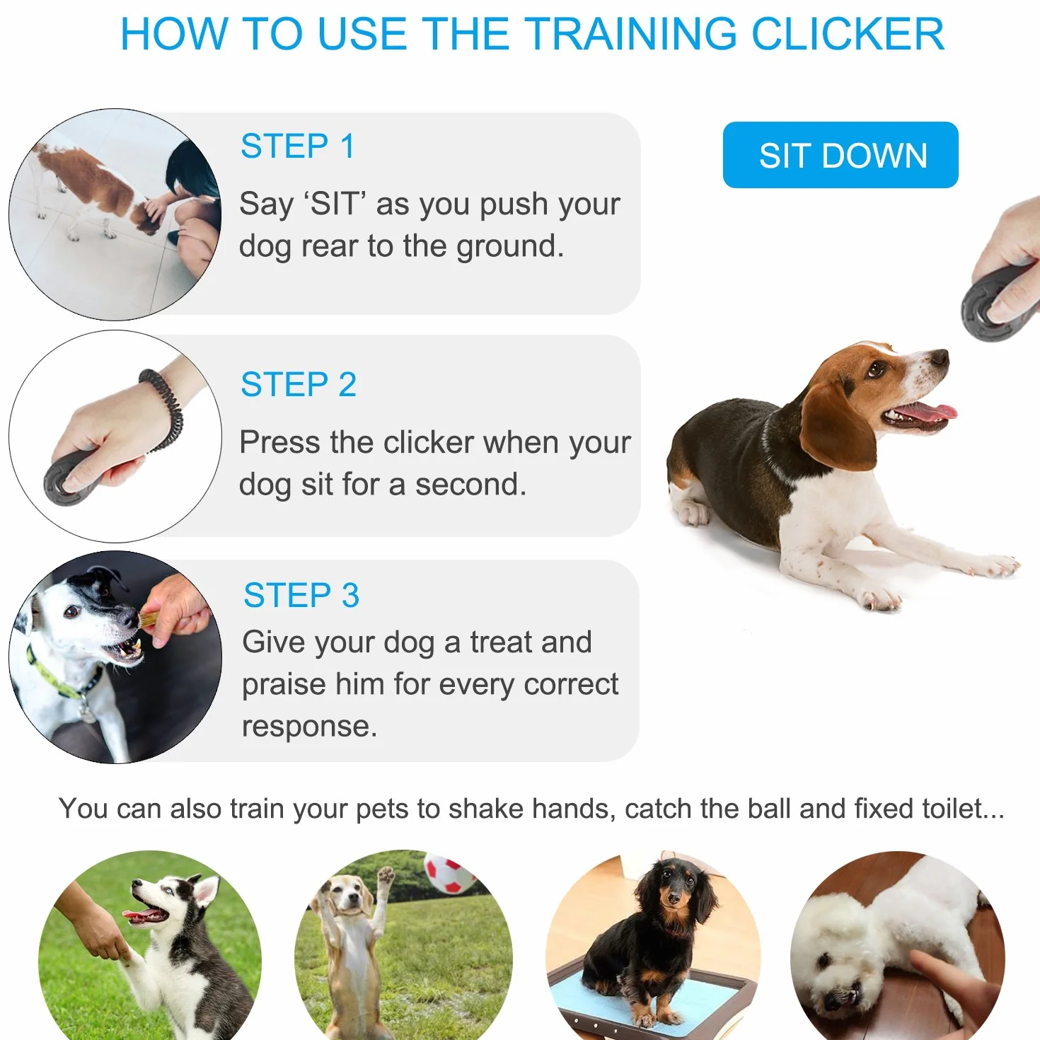Diyife Clicker per Cani, [4 PCS, Multicolore][Nuova Versione] Clicker Addestramento Cani Formazione Clicker con Cinturino da Polso per Cane,Gatto,Cavallo,ECC.