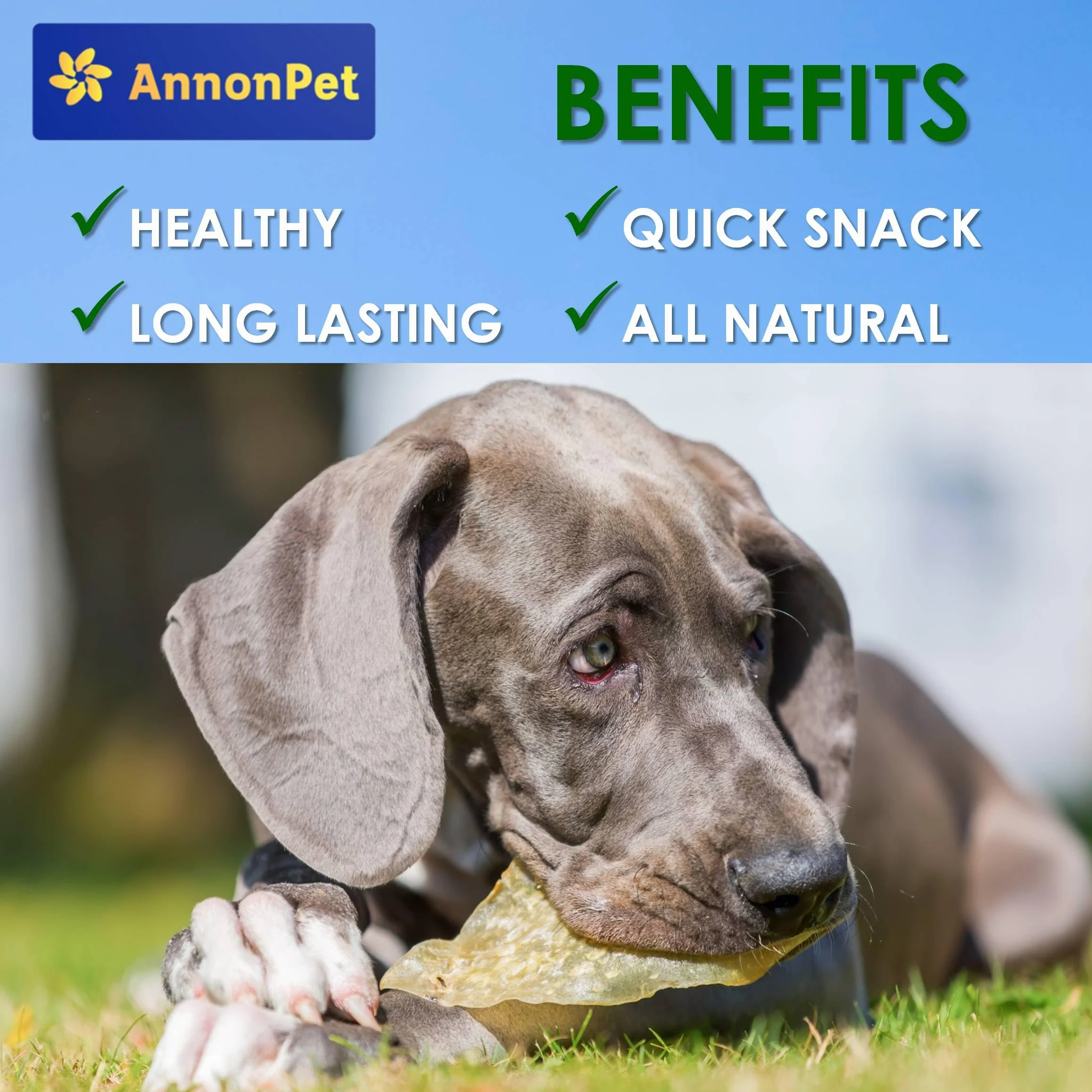 10 Orecchie di Manzo Essiccate per Cani – Snack Naturale e Masticativo ad Alta Digeribilità – Ricche di Proteine, Senza Additivi – Ideali per Igiene Dentale, Antistress