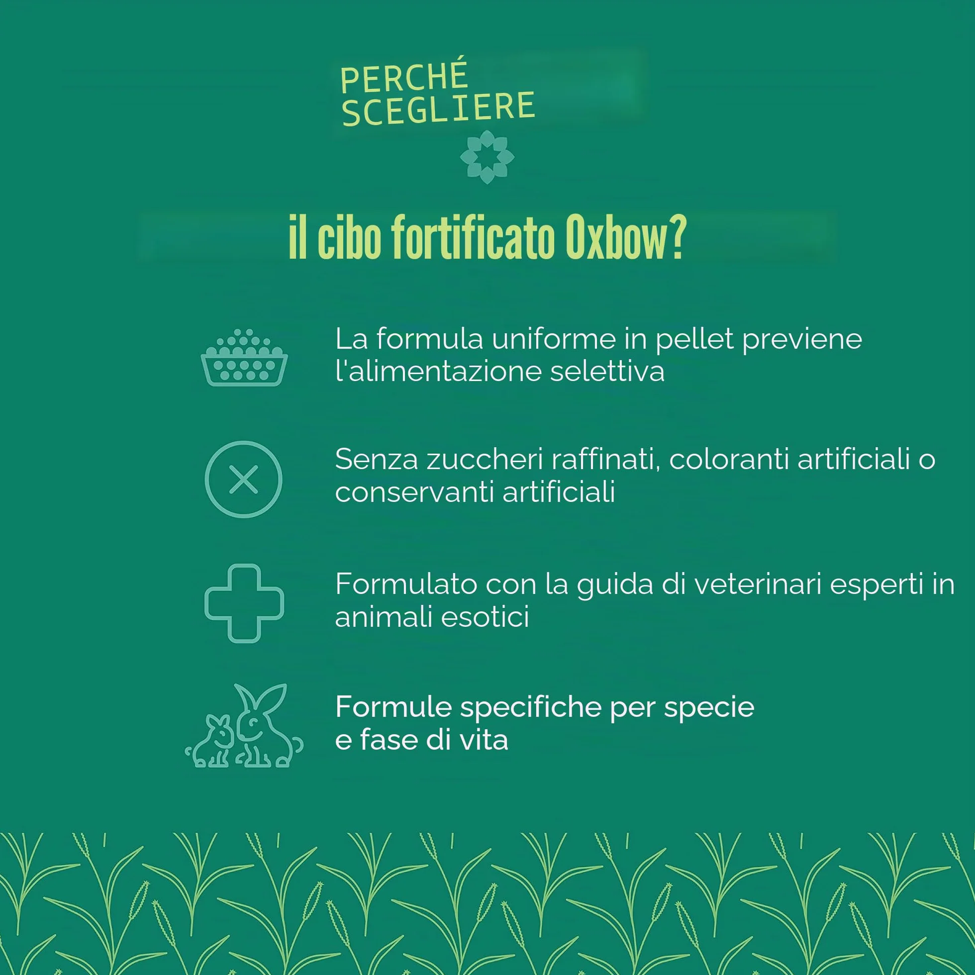 Oxbow Mangime per Chinchilla - 4500 Gr