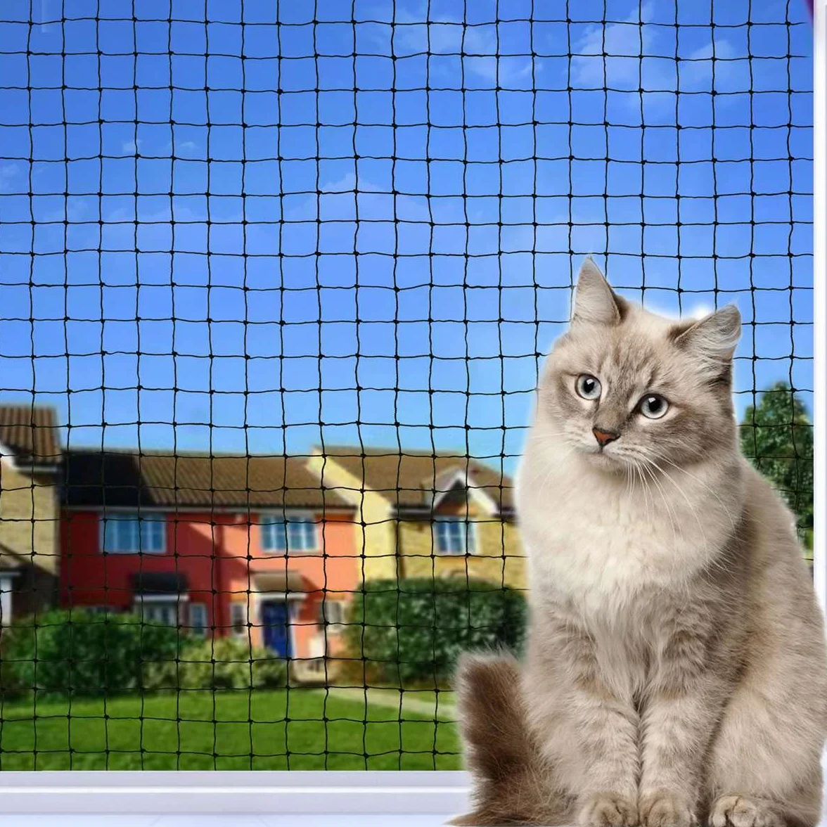 Rete per Gatti, Rete per Gatti Rinforzata 6 x 2 m, Robusta e Resistente agli Strappi, ai Raggi UV e alle intemperie, per Balcone, terrazze e finestre (Nero)