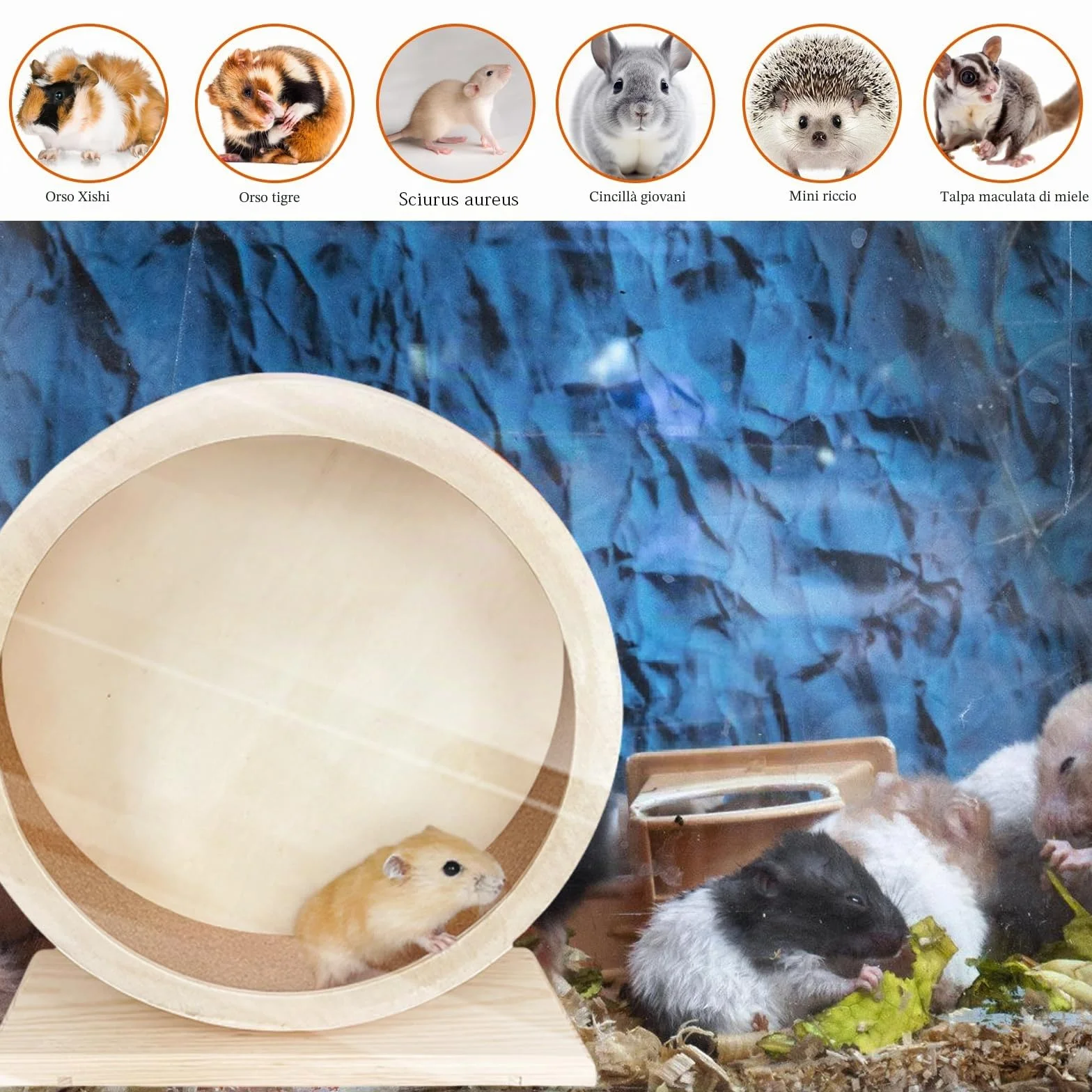 Rotella per criceti in legno per piccoli animali domestici: WIYETY Rotella per criceti silenziosa, rotella per criceti a basso rumore per tranquillità e movimento, rotella per altri piccoli animali