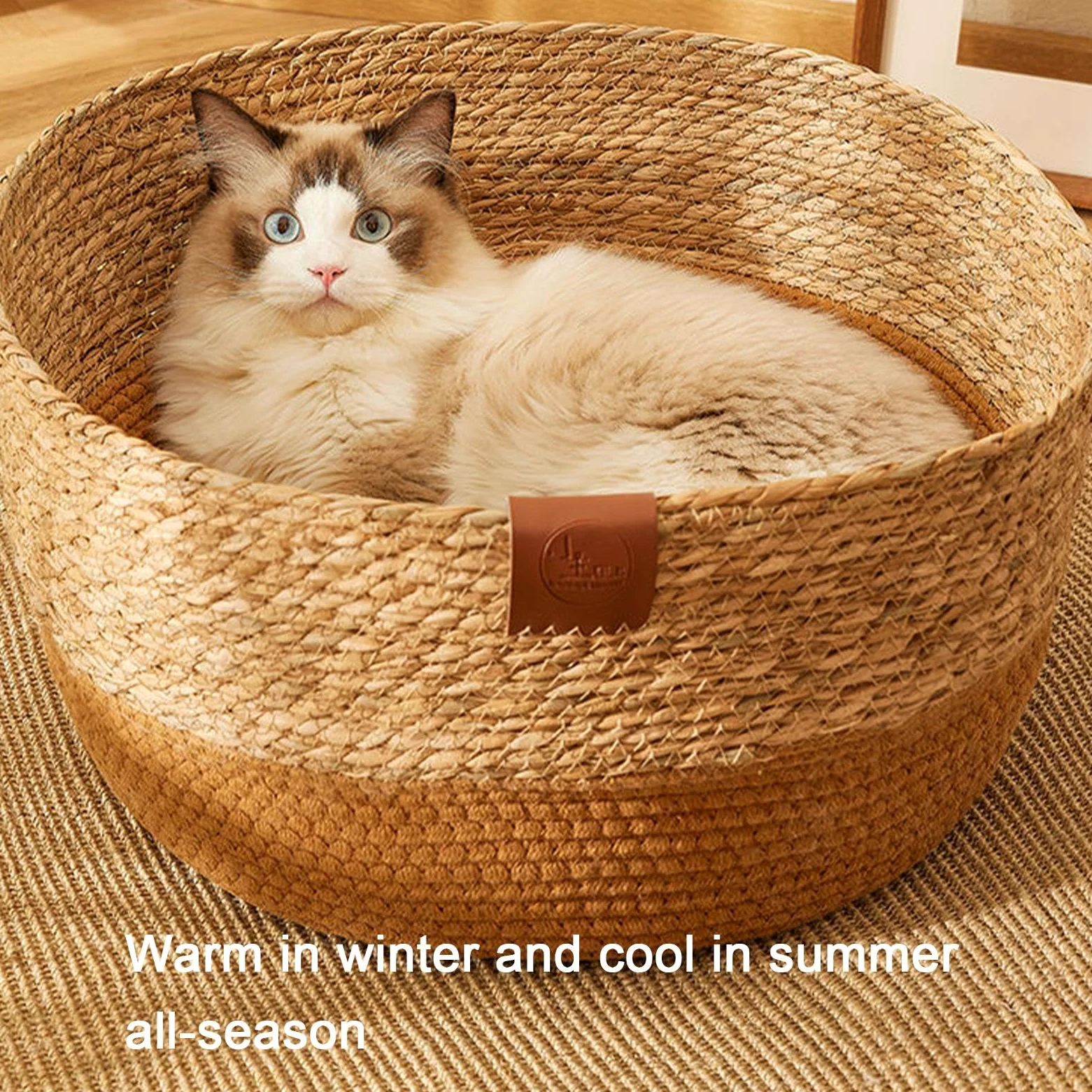 Cuccia per gatti – cuccia portatile per animali domestici | mobilia multifunzionale per gatti, in resistente, accogliente per , cuscino reversibile in peluche accogl