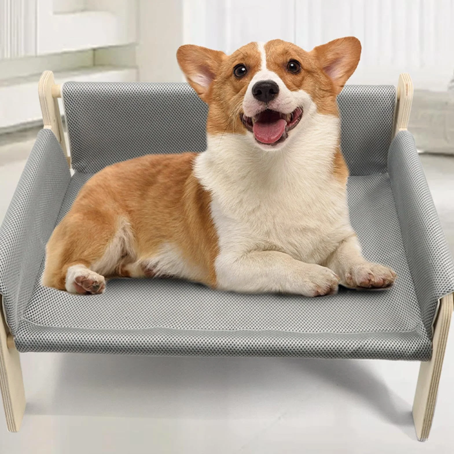 Cuccia rialzata Per cani con struttura in legno, divanetto rimovibile per gatti, cuccia stabile per cani