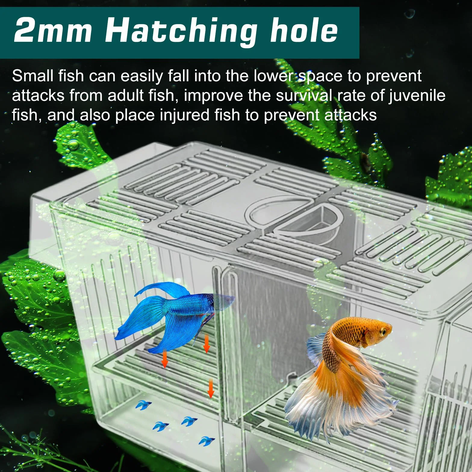 23 cm, bacino di allevamento per acquario, contenitore acrilico trasparente, per acquario, sistema di separazione rimovibile, pratica rete di raccolta, cassetta per la cura dei pesci