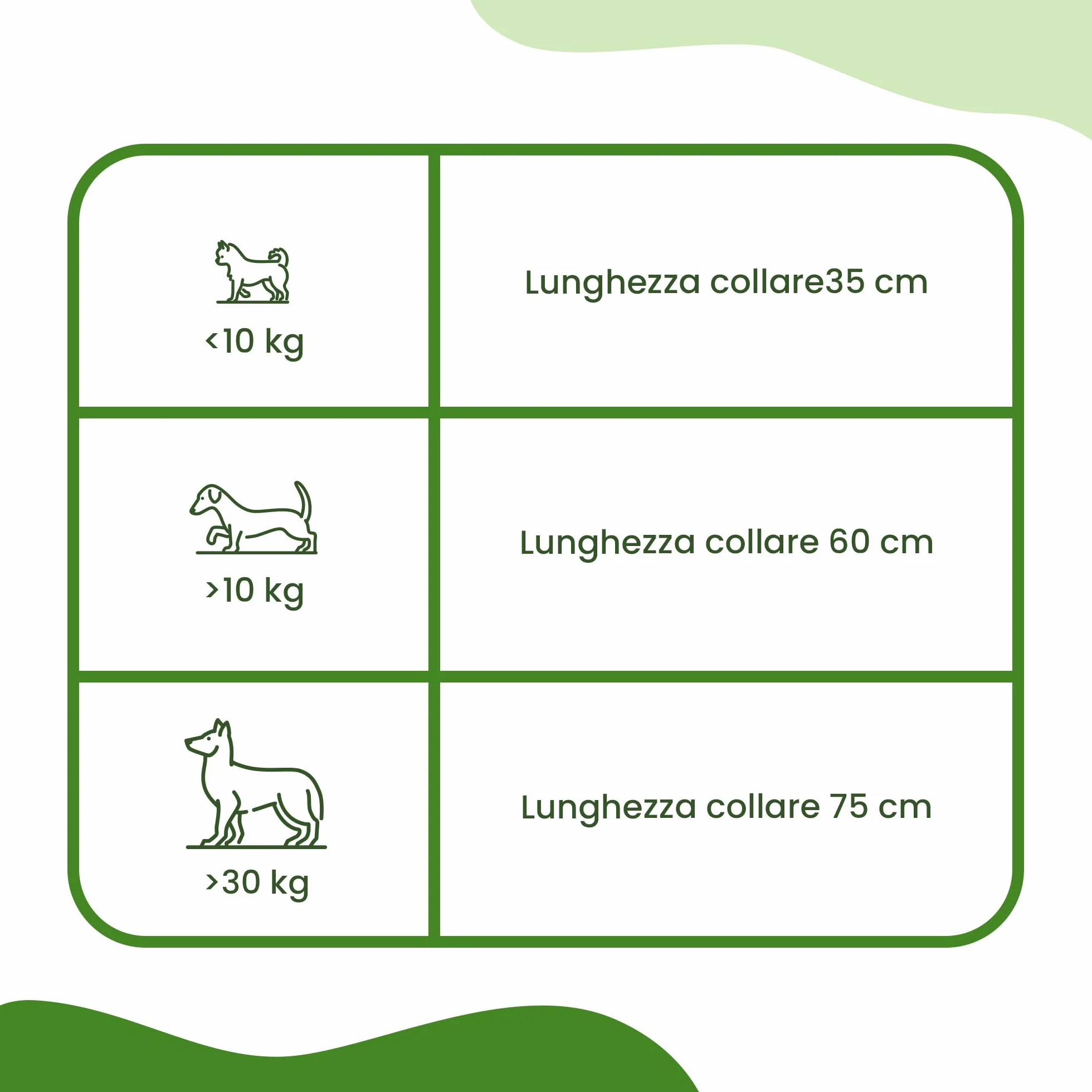 CAMON | Collare Olio di Neem per Cani di Taglia Piccola, 35cm, Protezione Naturale