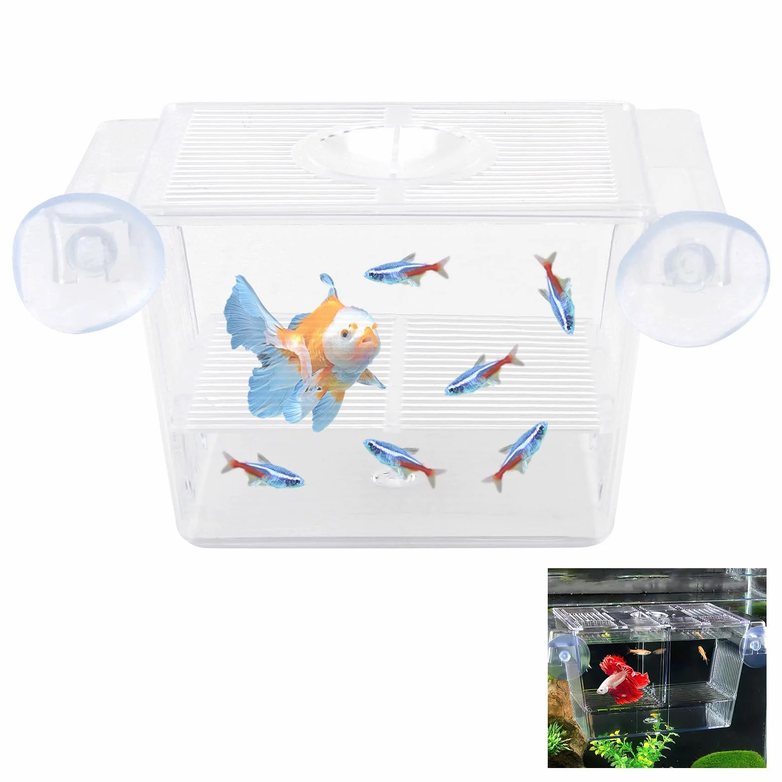 Scatola per l'allevamento di Pesci in Acrilico con Ventose, Isolatore per Acquario Ideale per Acclimatazione Pesci e Gamberetti, Box per Incubazione di Avannotti e Protezione Pesci Piccoli