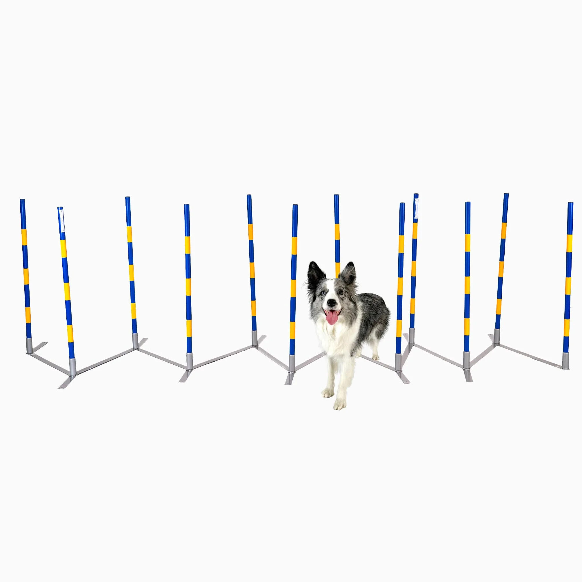 Agility Slalom originale Callieway ®, SLALOM A IMBUTO, slalom stretto, Agility Channel Weaves (conforme alla FCI)