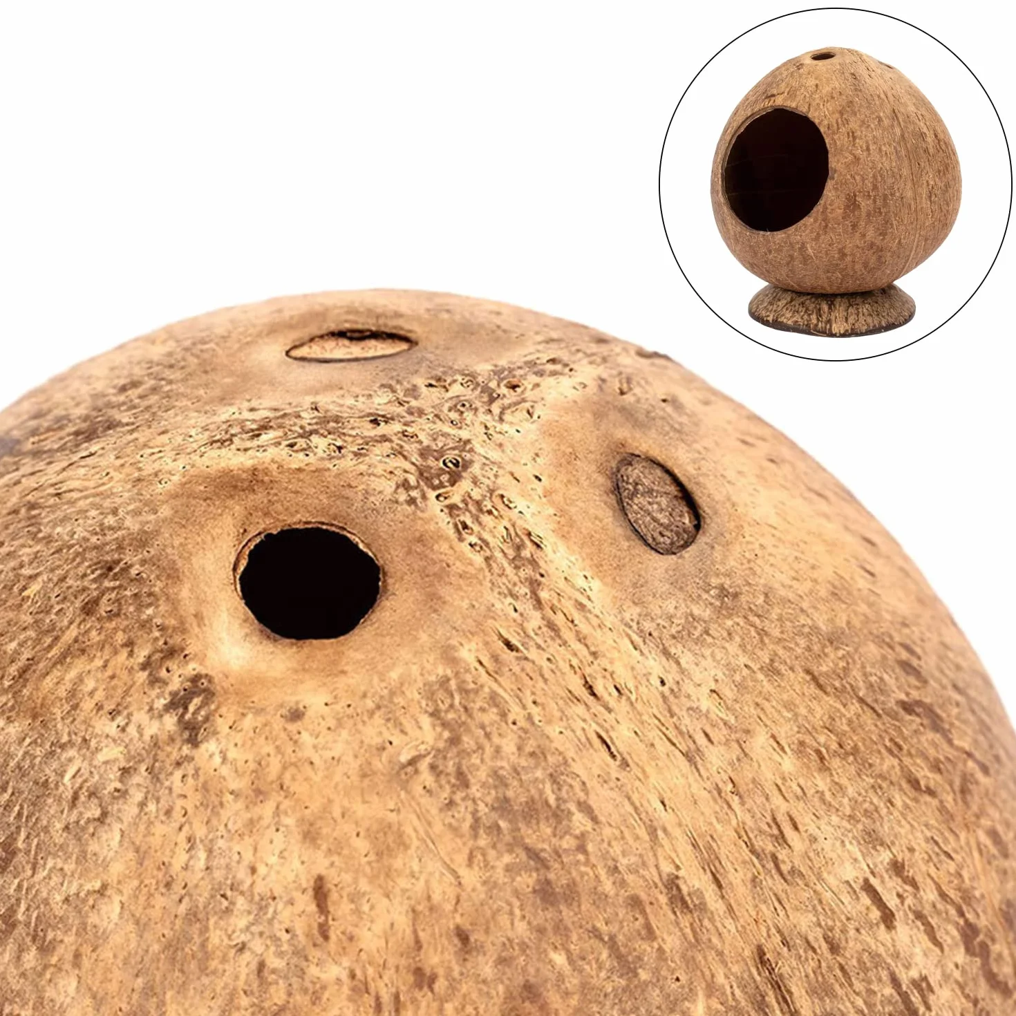 2 Pezzi Nido per Criceti e Uccelli di Cocco, Giocattoli Arrampicata con Scala, per Il Posatoio e La Ricreazione degli Animali Domestici