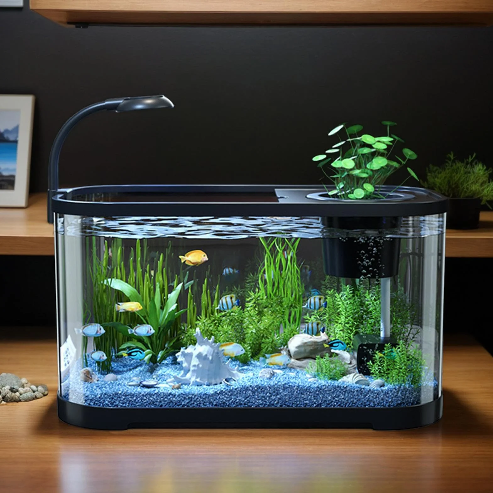 Kit Acquario Generico, Acquario Per Principianti, Vaso Decorativo Per Betta E Tartarughe, Nero, 30x20x19cm