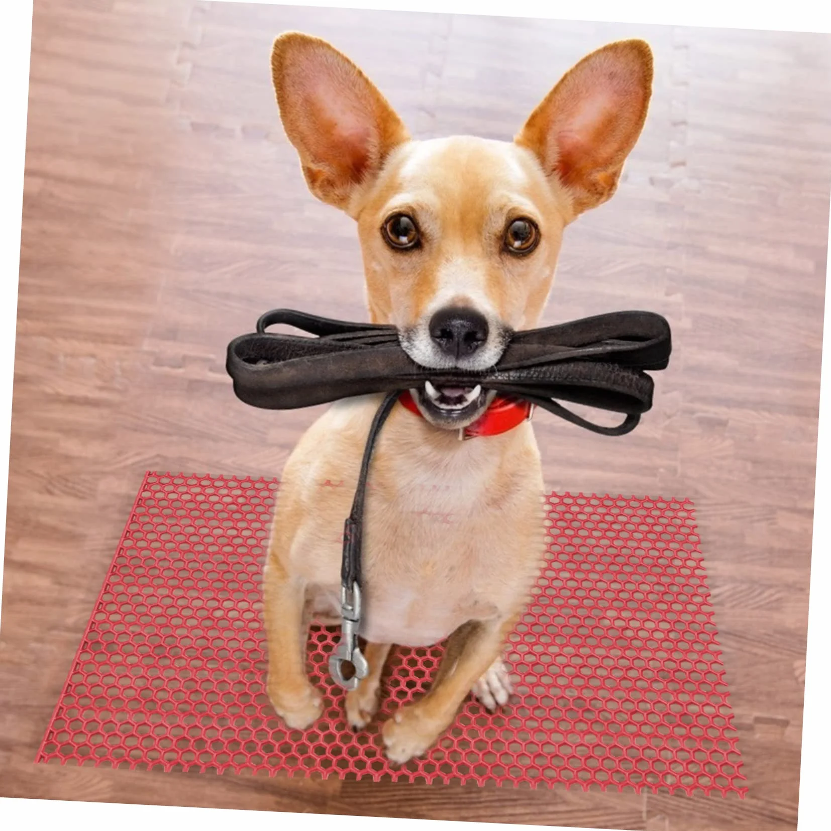 Tappetino Base Isolante per Gabbia in Pvc per Cani Bordi Arrotondati Accessorio Veloce Drenaggio Dell'urina per Recinto Animale Domestico per Cuccia Rossa