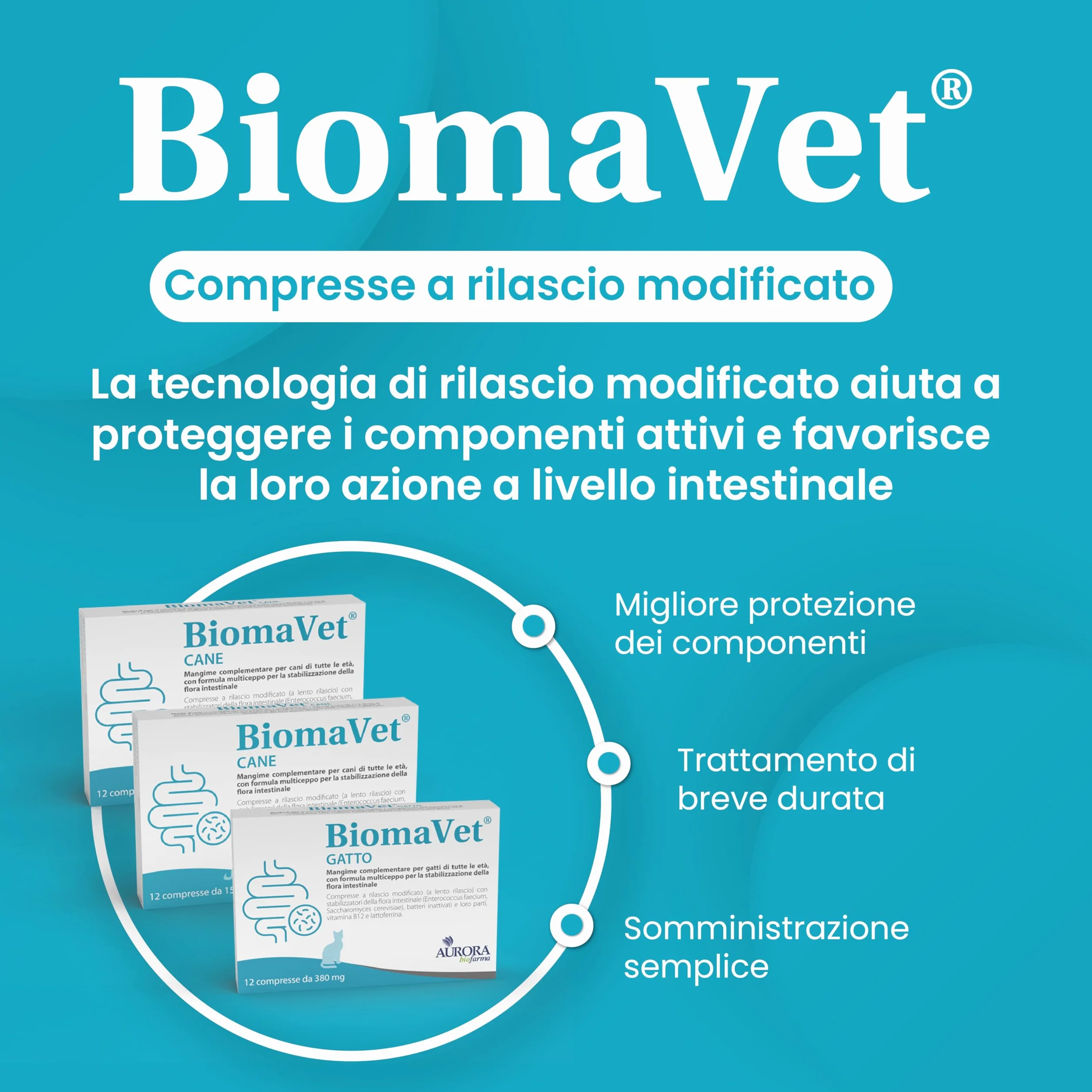 BiomaVet Probiotici Gatto per il Benessere Intestinale - Probiotici per Gatti con Formulazione Multiceppo, Lattoferrina e Vitamina B12-12 Compresse da 380mg
