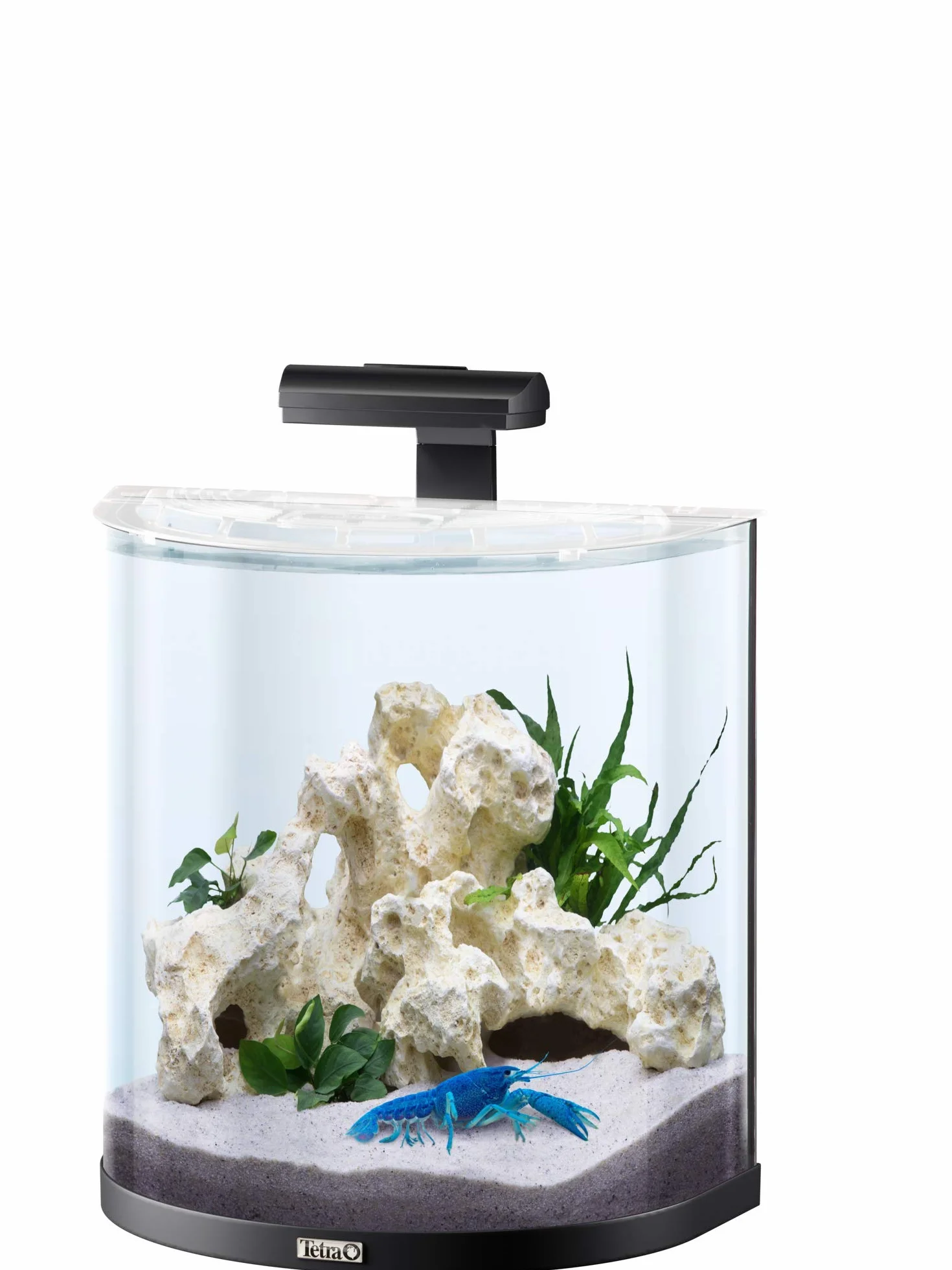 Tetra Explorer Line - Set completo per acquario, 30 l, design acquario con parabrezza curvo, illuminazione a LED, tecnica, fodera e prodotti per la cura, colore: Nero