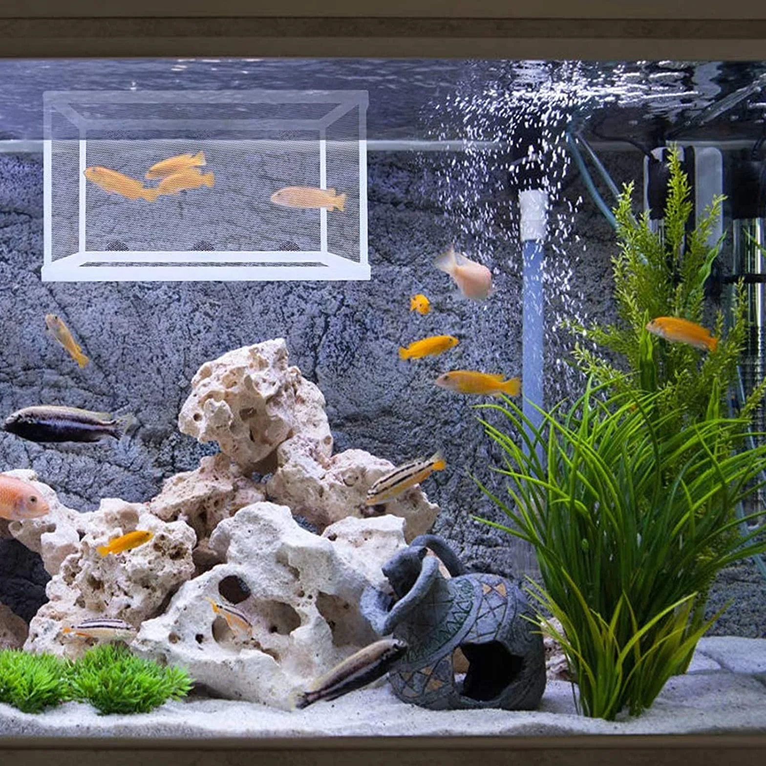 2 Pezzi Scatola di Allevamento, Scatola di Allevamento in Plastica, Incubatrice per Pesci D'acquario, Adatto per Acquari, Isolare Piantine e Sostenere l'incubazione e la Riproduzione (Bianco)