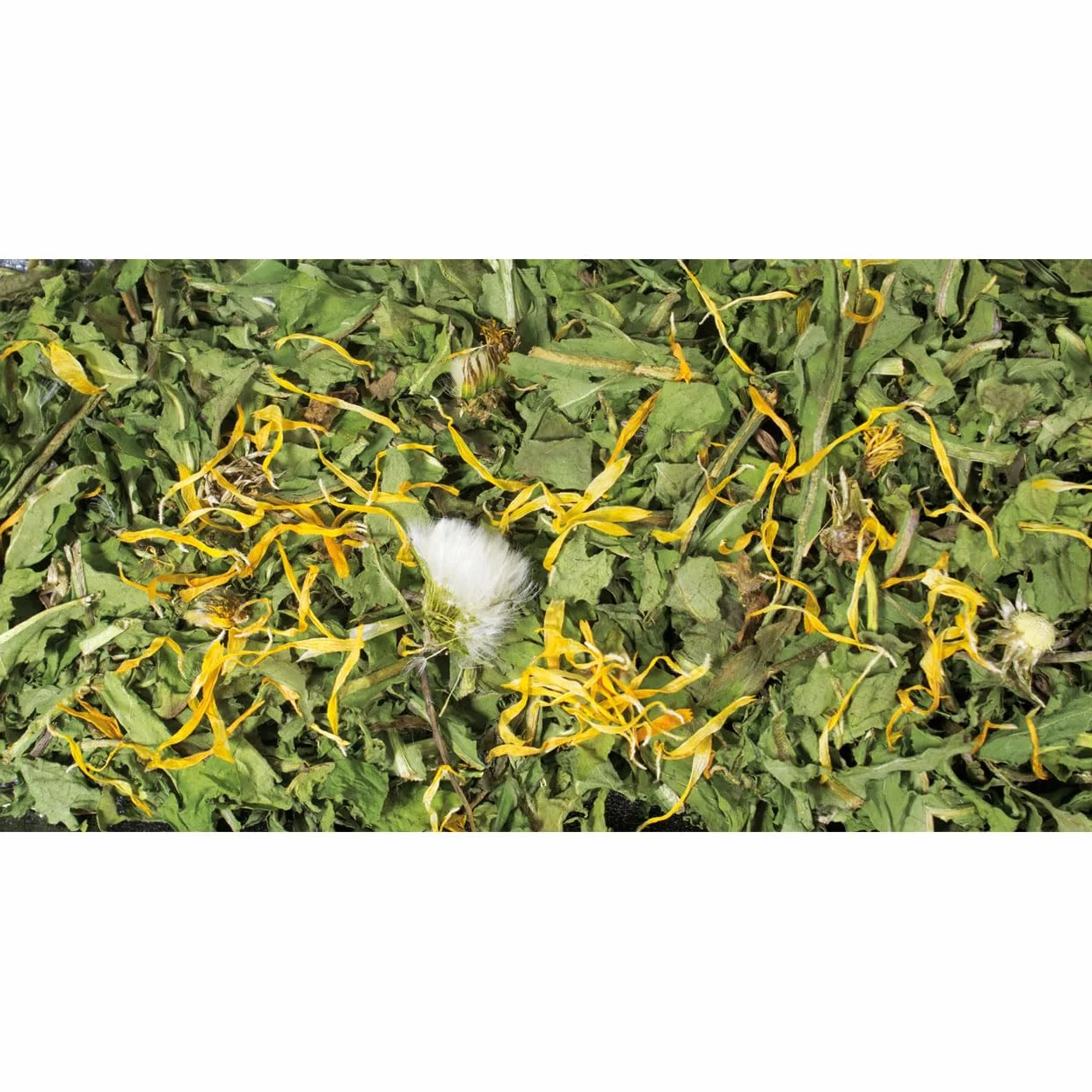 JR FARM Dente di leone 500 g