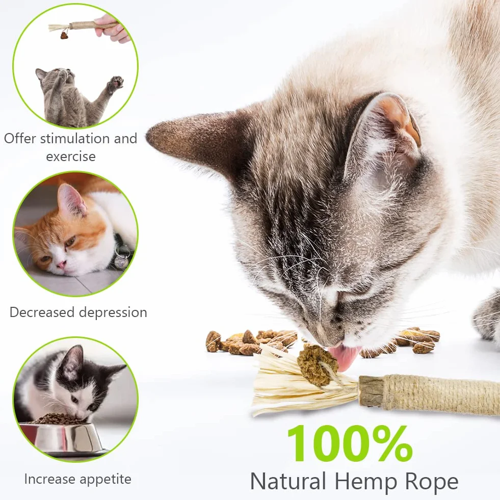Giocattoli di Erba Gatta, 6 Pezzi Bastoncini da Masticare per Gatti, Naturale Bastoncini Matatabi per Gatti, Denti di Gatto Pulizia Masticare Giocattoli, per Eliminare Alitosi e Tartaro