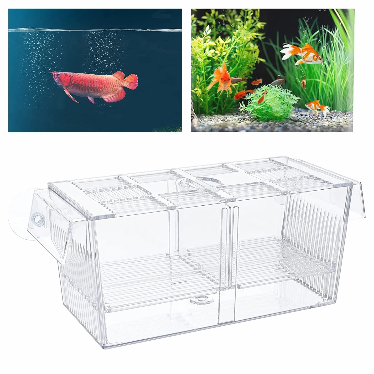Piscina per allevamento, acquario, piscina per bambini in quarantena, per pesci incinti, piccoli pesci, gamberetti, pesci pagliaccio, 220 x 95 x 100 mm