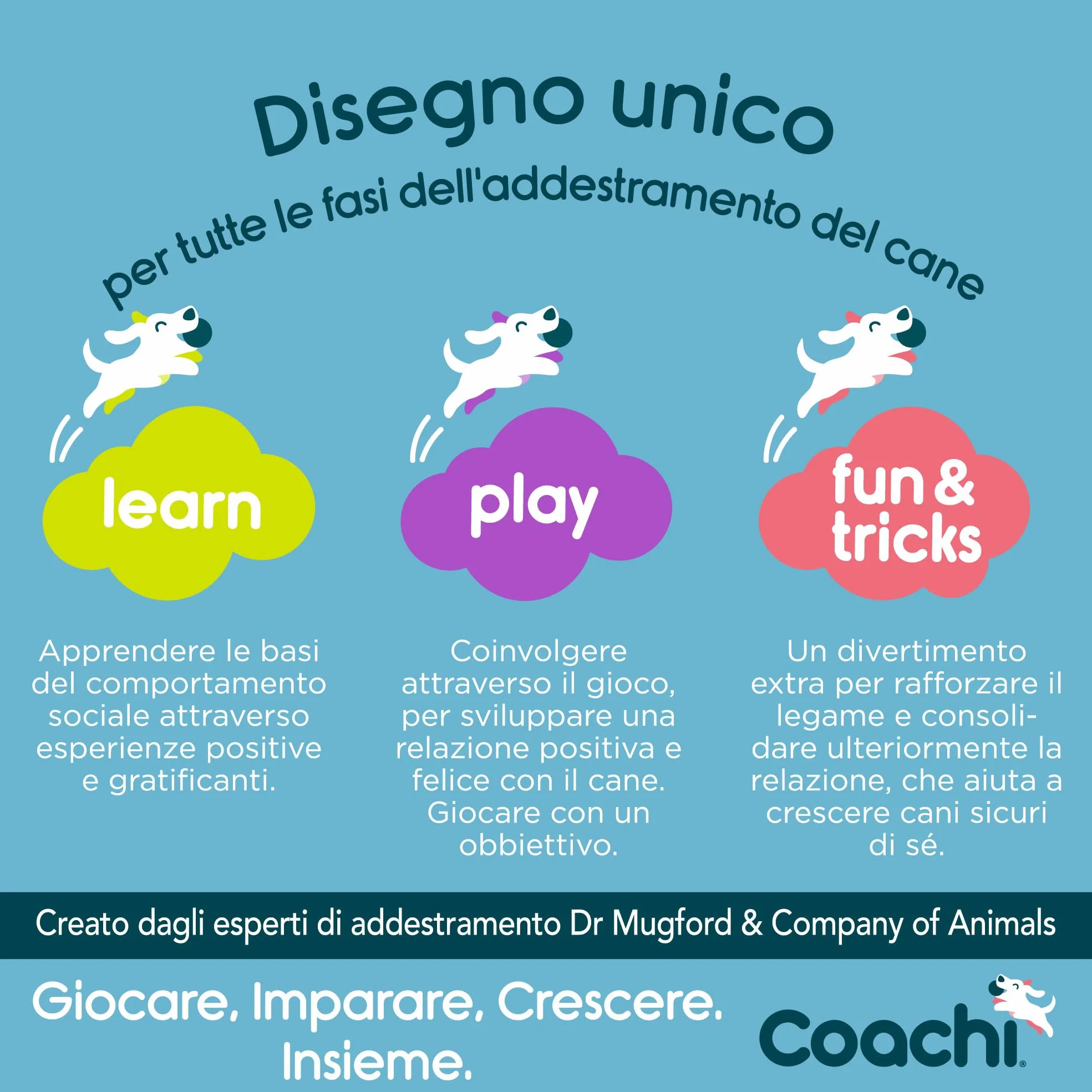 Coachi Target Stick, disegno telescopico con pallina-obiettivo, accessorio per l’addestramento con clicker o di agilità, per insegnare comandi e giochi, adatto a cani e cuccioli.