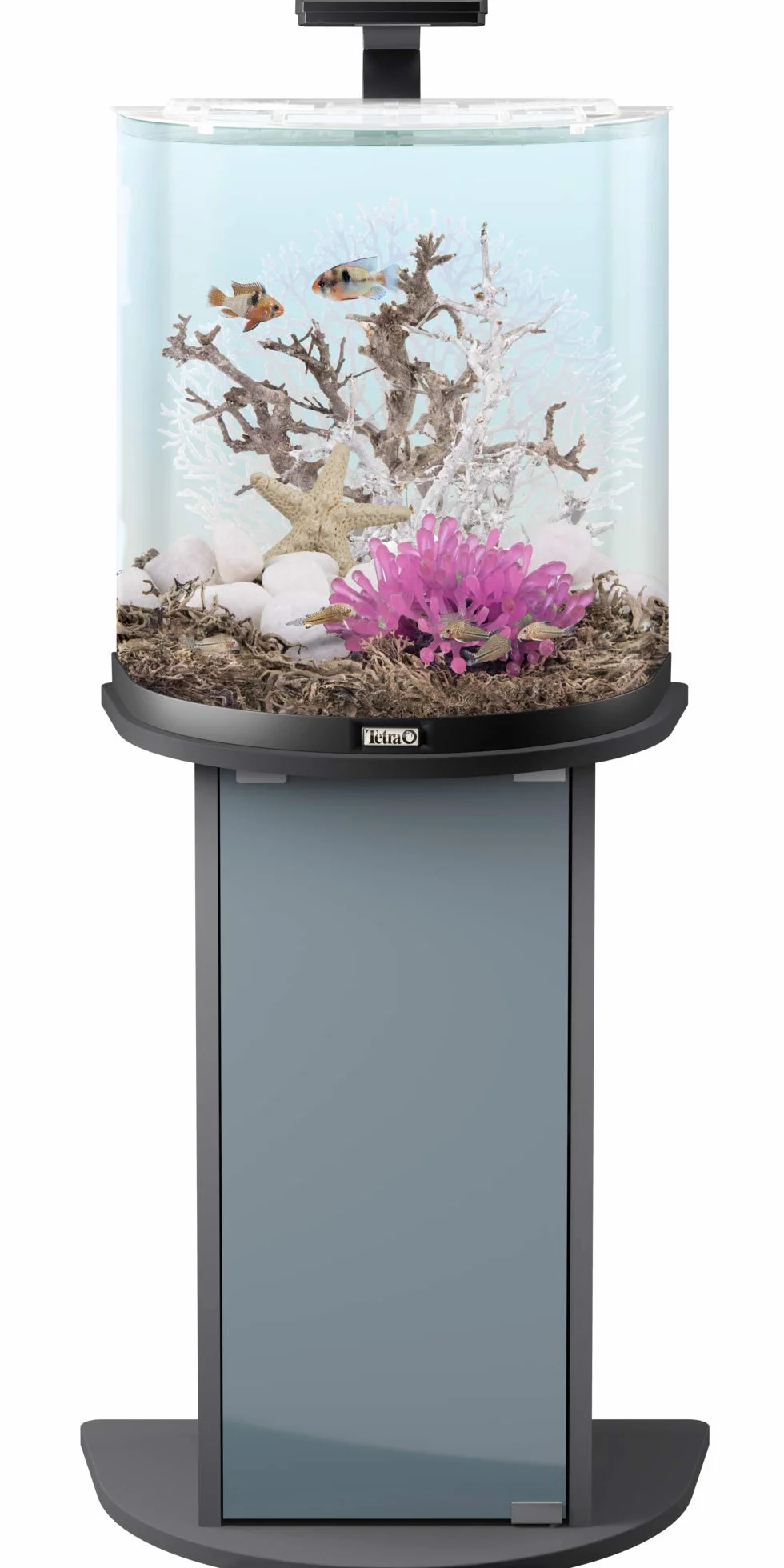 Tetra Aquaart Explorer Line Acquario, Antracite
