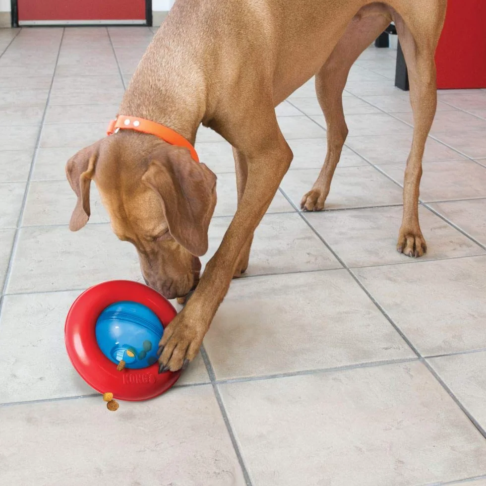 Kong - Gyro - Giocattolo interattivo per Cani di Taglia Grande