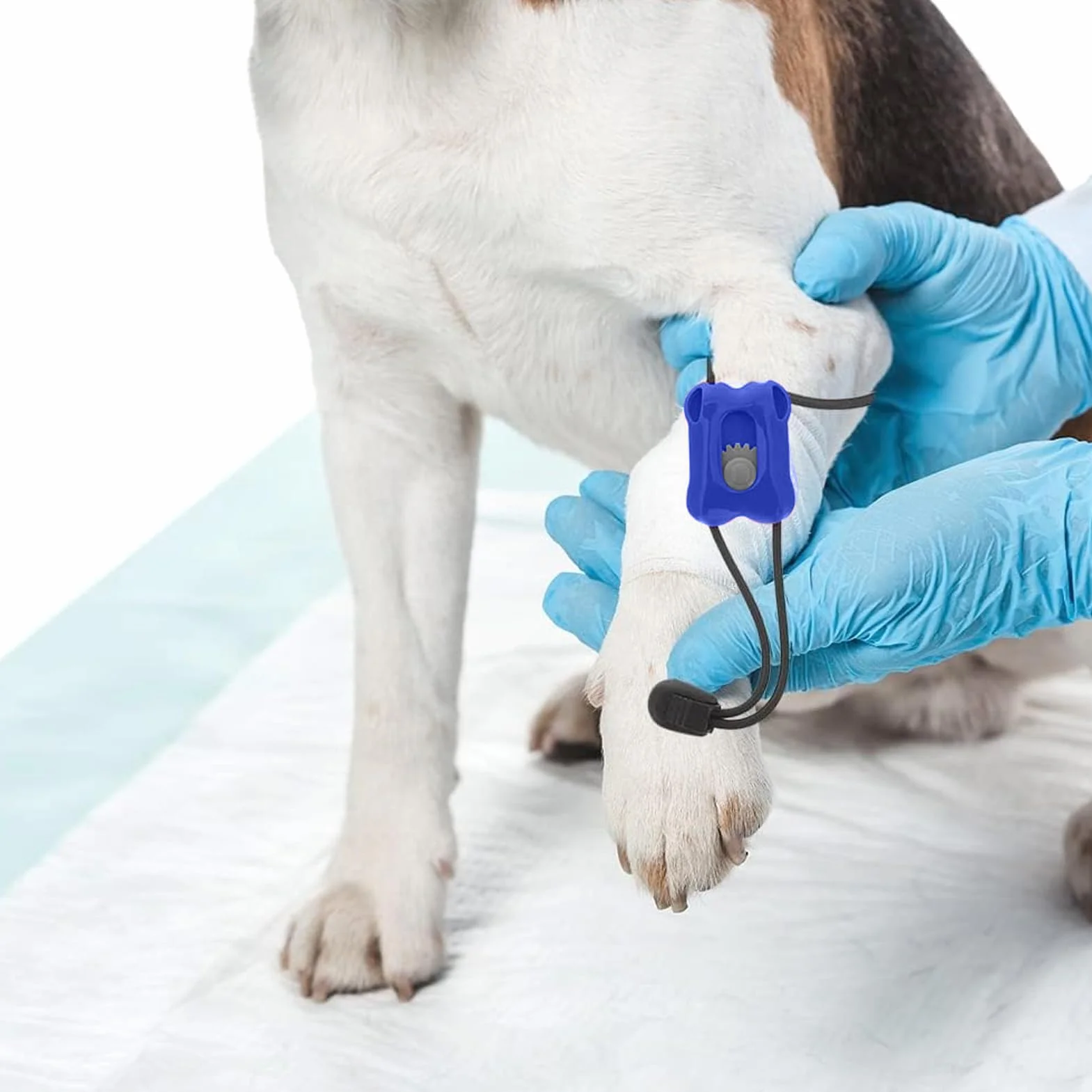 Kit o Emostatico per Gatti | Soccorso Emorragie e Emostatici - Controllo Sanguinamento Istantaneo Portatili Pronto Soccorso per Ferite Domestiche Viaggio Veterinario Cani Gatti