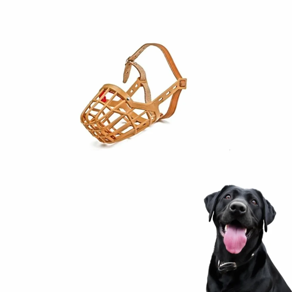 Museruola a cestello in plastica con cinturino in cuoio,cane può respirare,ansimare,impedisce di mordere e rovistare rifiuti,addestramento di cani piccoli,medi,grandi,per cani dal naso lungo (5)