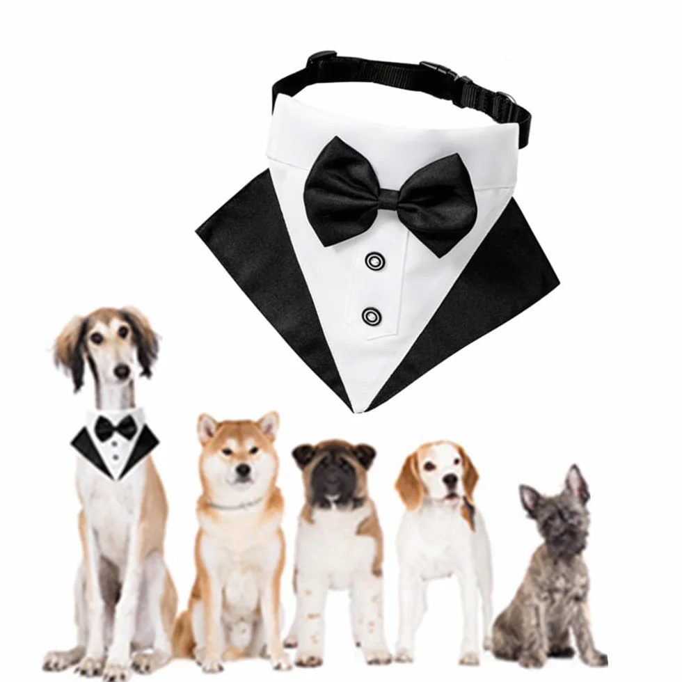 Bandana da Smoking Formale per Cani Sciarpa Triangolare con Farfallino Colletto Regolabile Papillon Taglia Piccola Media Grande