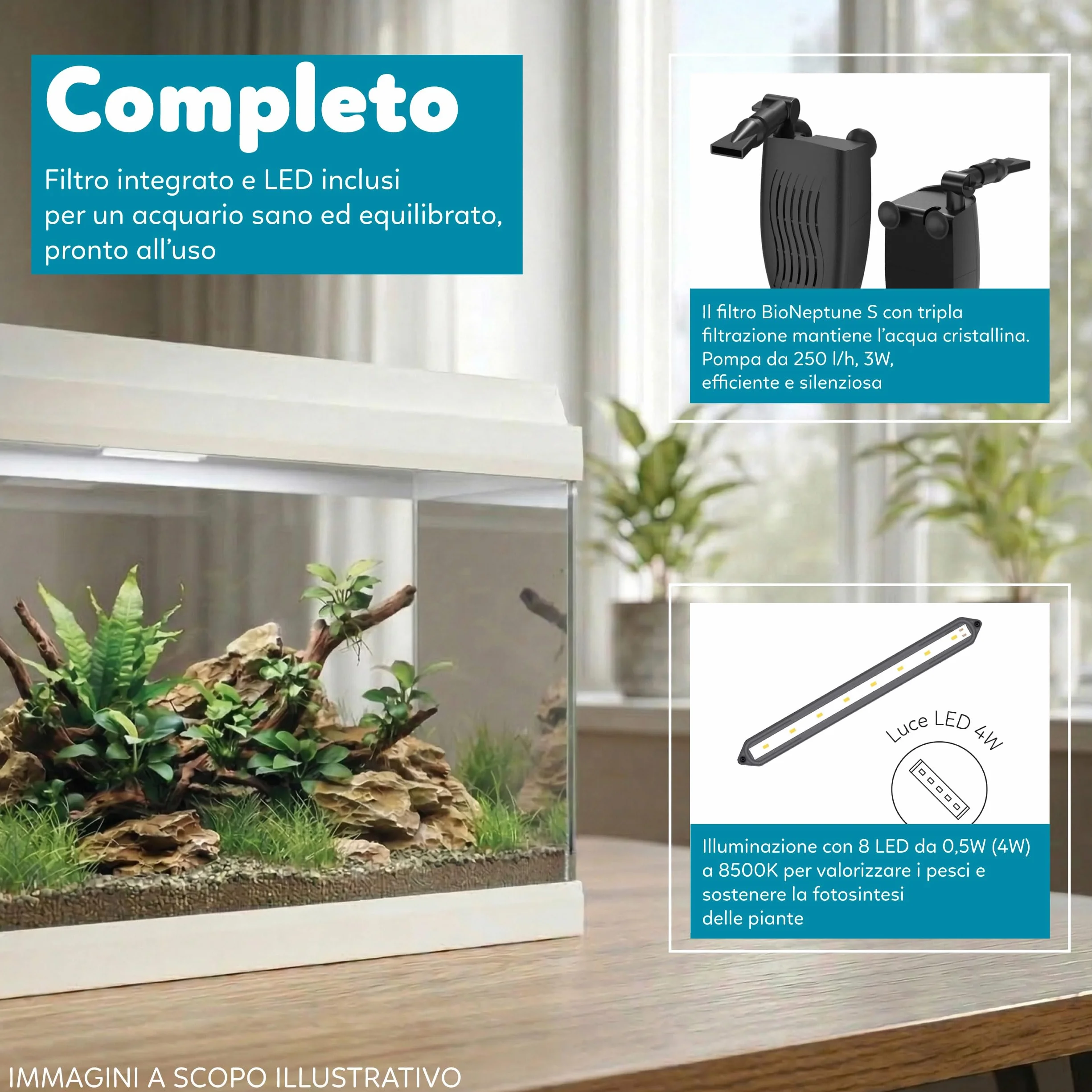 AQPET Acquario in Vetro per Pesci Tropicali Completo di Accessori Filtro Luce Simply, 30 39x22x30 cm 30 Litri, Bianco
